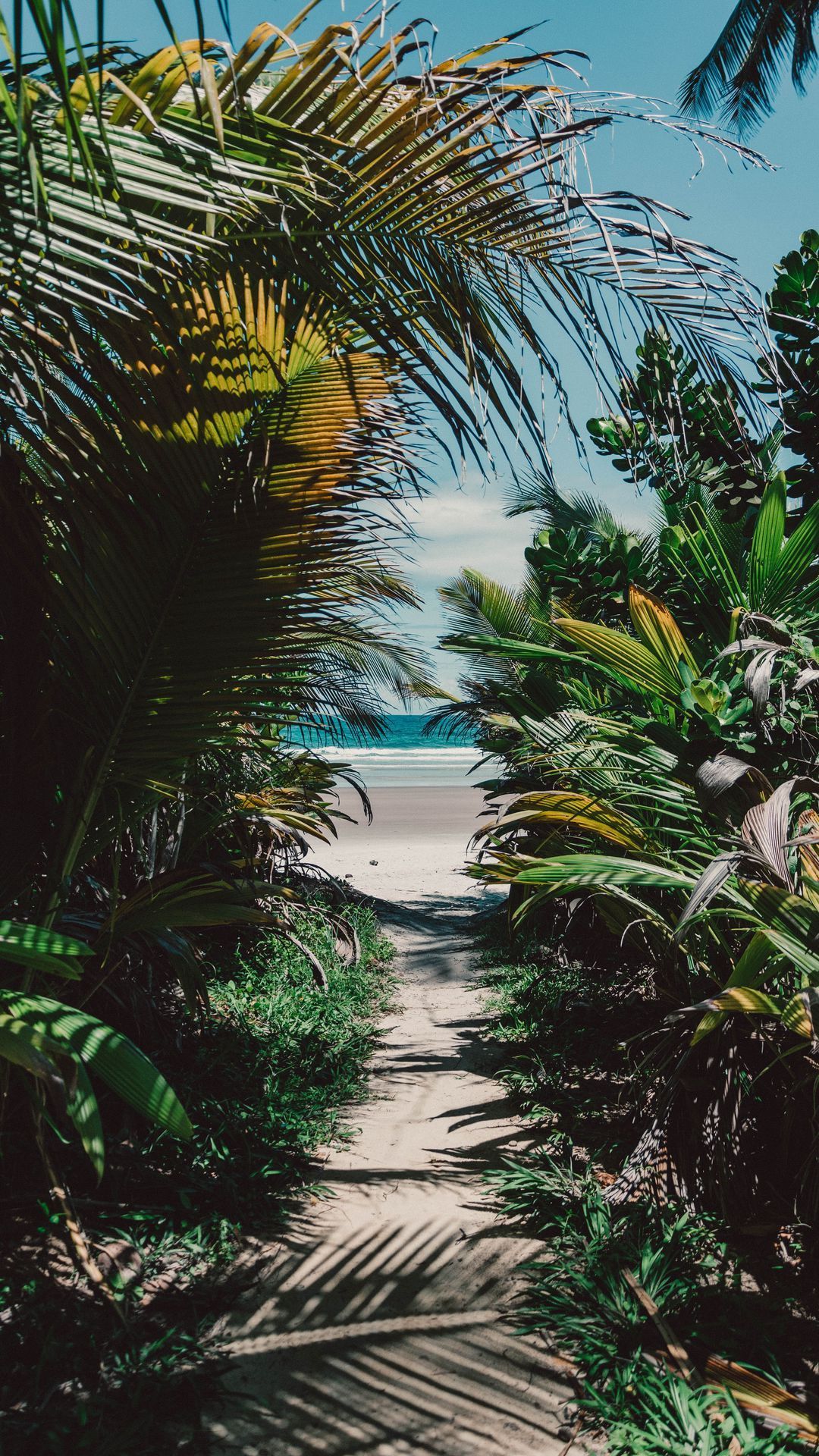 Island Vibes Wallpaper