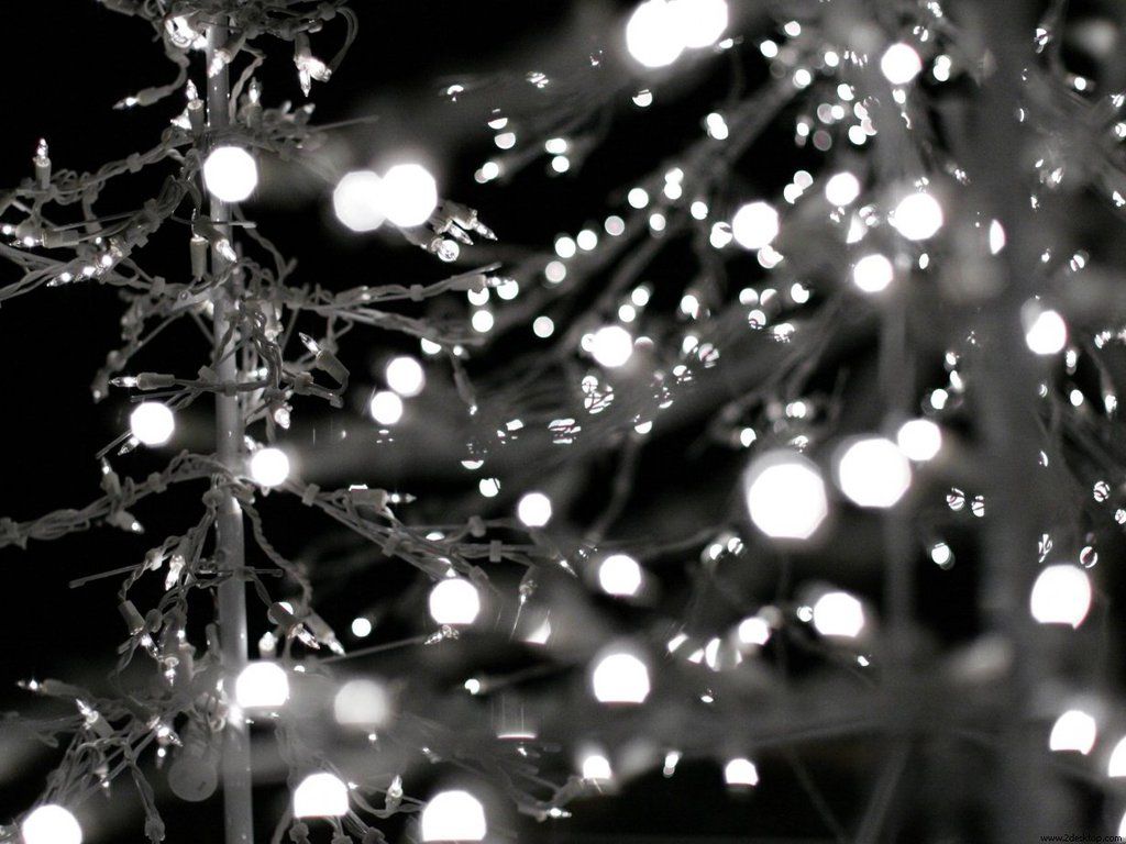 Twinkle Lights Wallpaper. Christmas Lights Wallpaper, Northern Lights Wallpaper and Holiday Lights Wallpaper