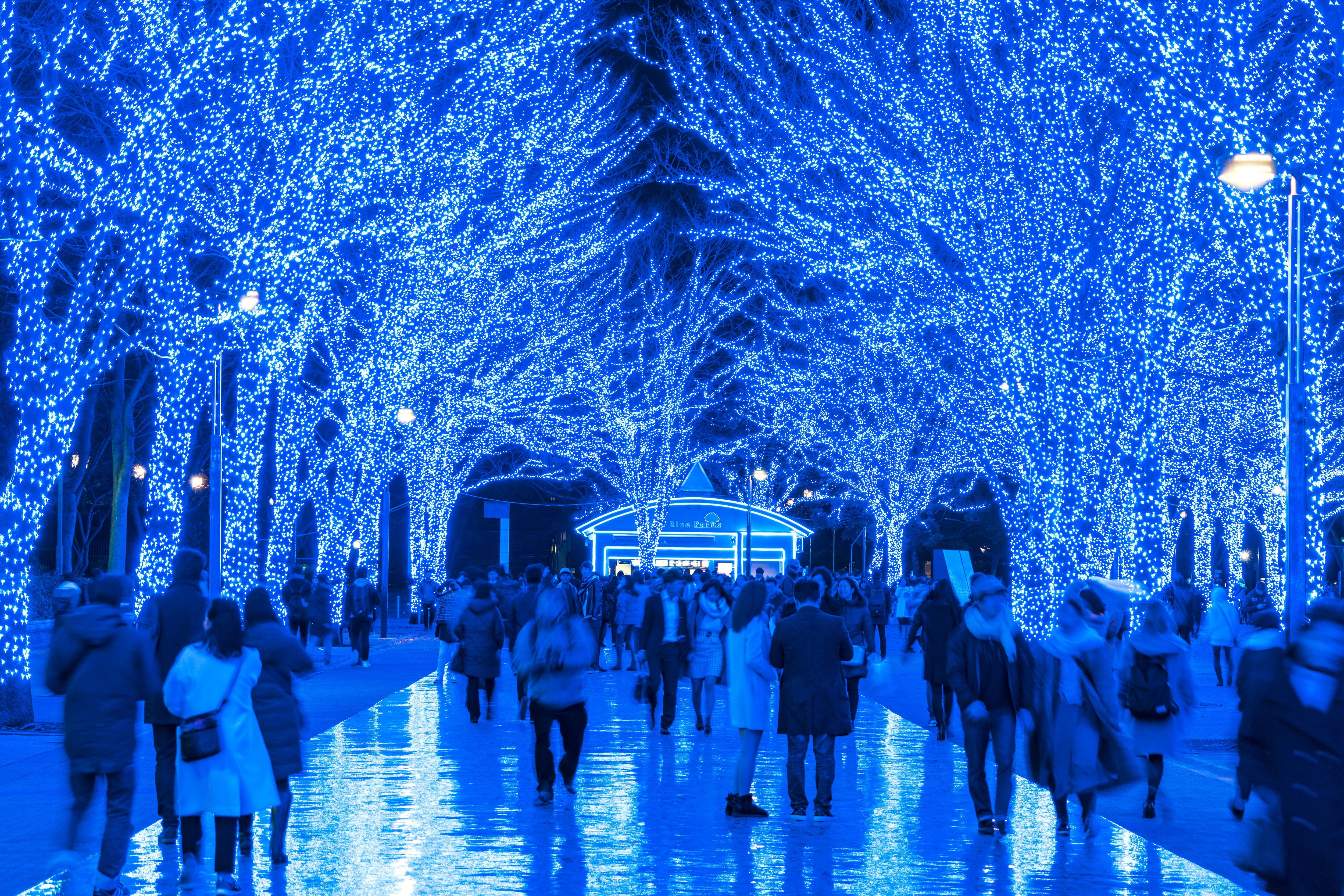 Where to See the World's Best Christmas Lights. Condé Nast Traveler