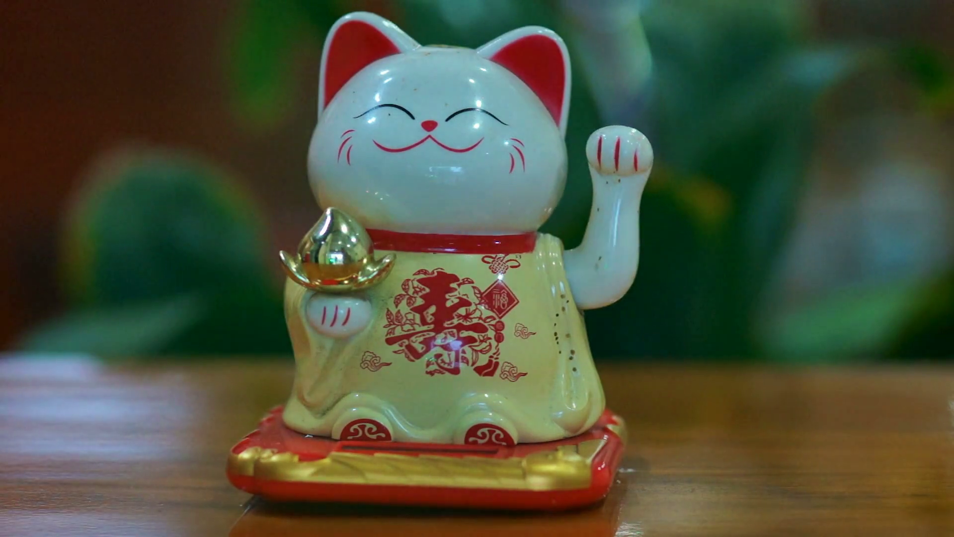 Concept Of Good Business, Lucky Cat Cat HD Wallpaper & Background Download