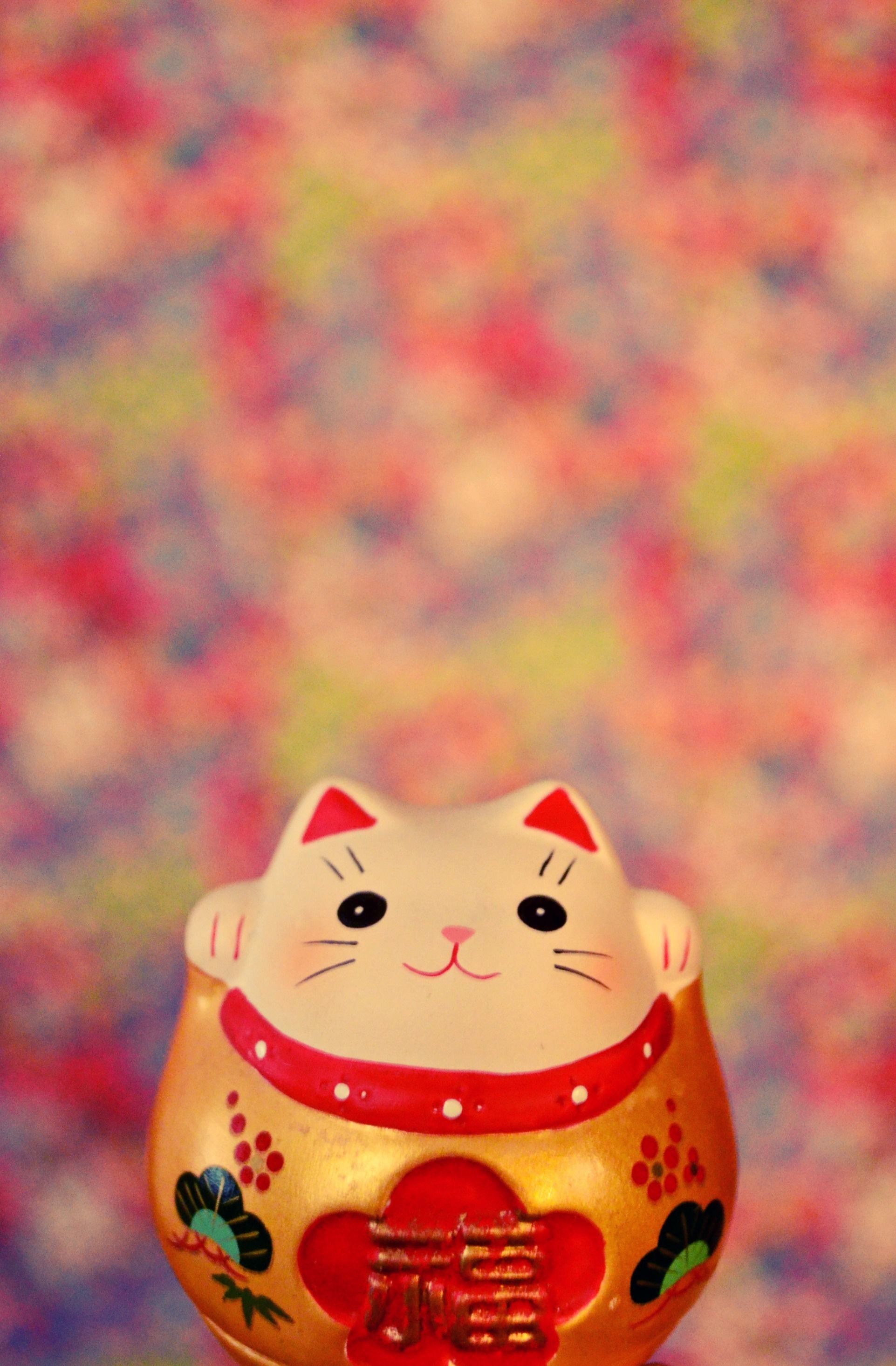 Cute Japanese Cat Wallpaper