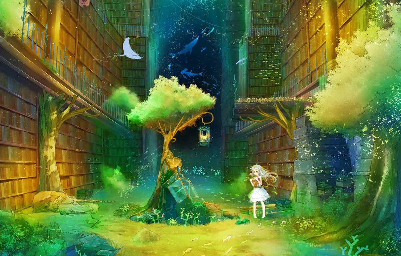 Wallpaper girl, tree, books, anime, art, lantern, library, inz image for desktop, section прочее