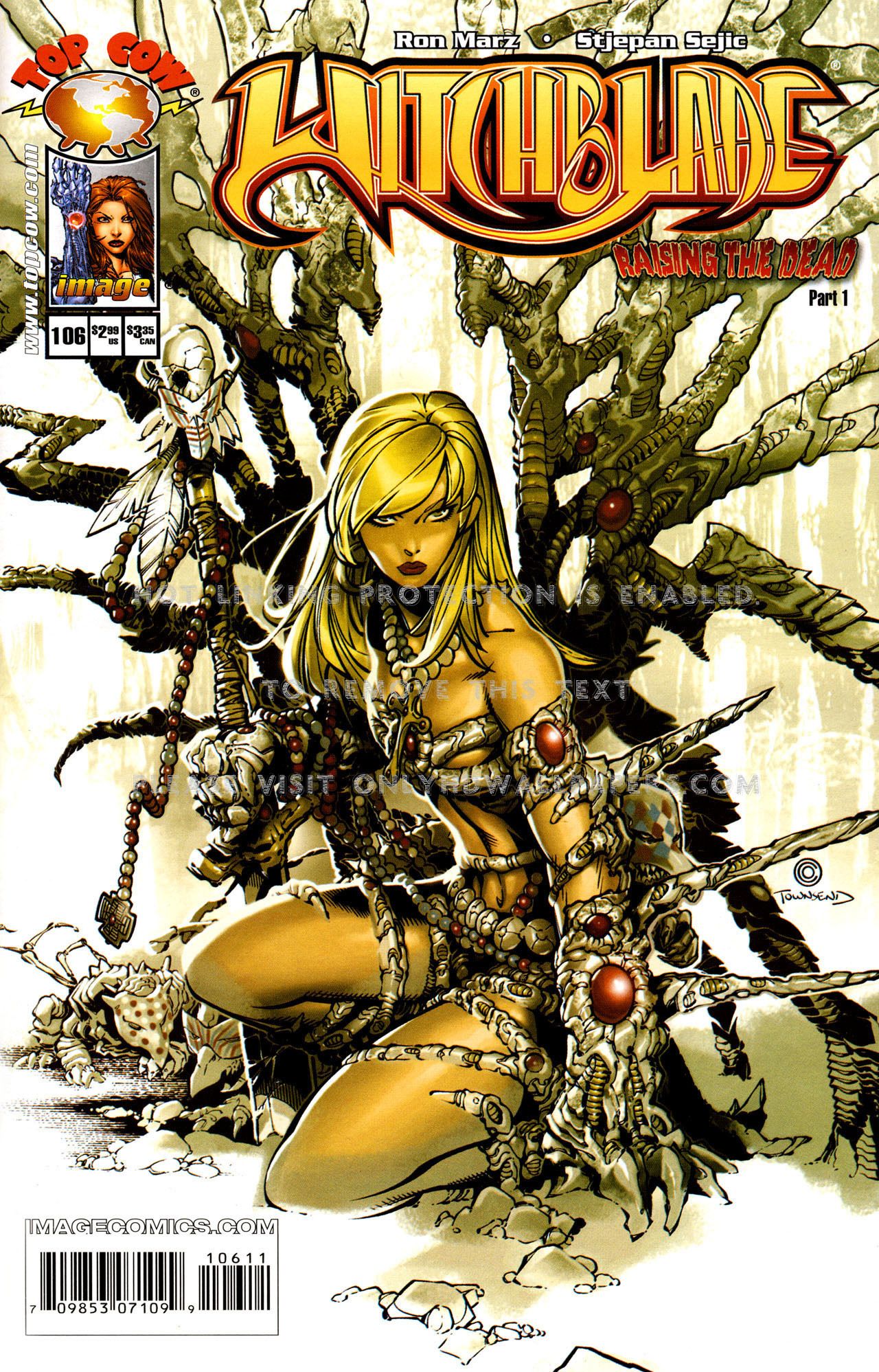 comics witchblade artwork Chris