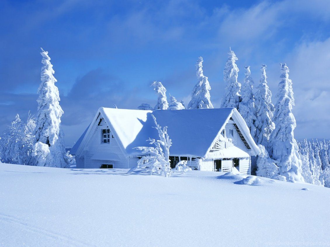 White house in a beautiful white winter season -HD Wallpaper