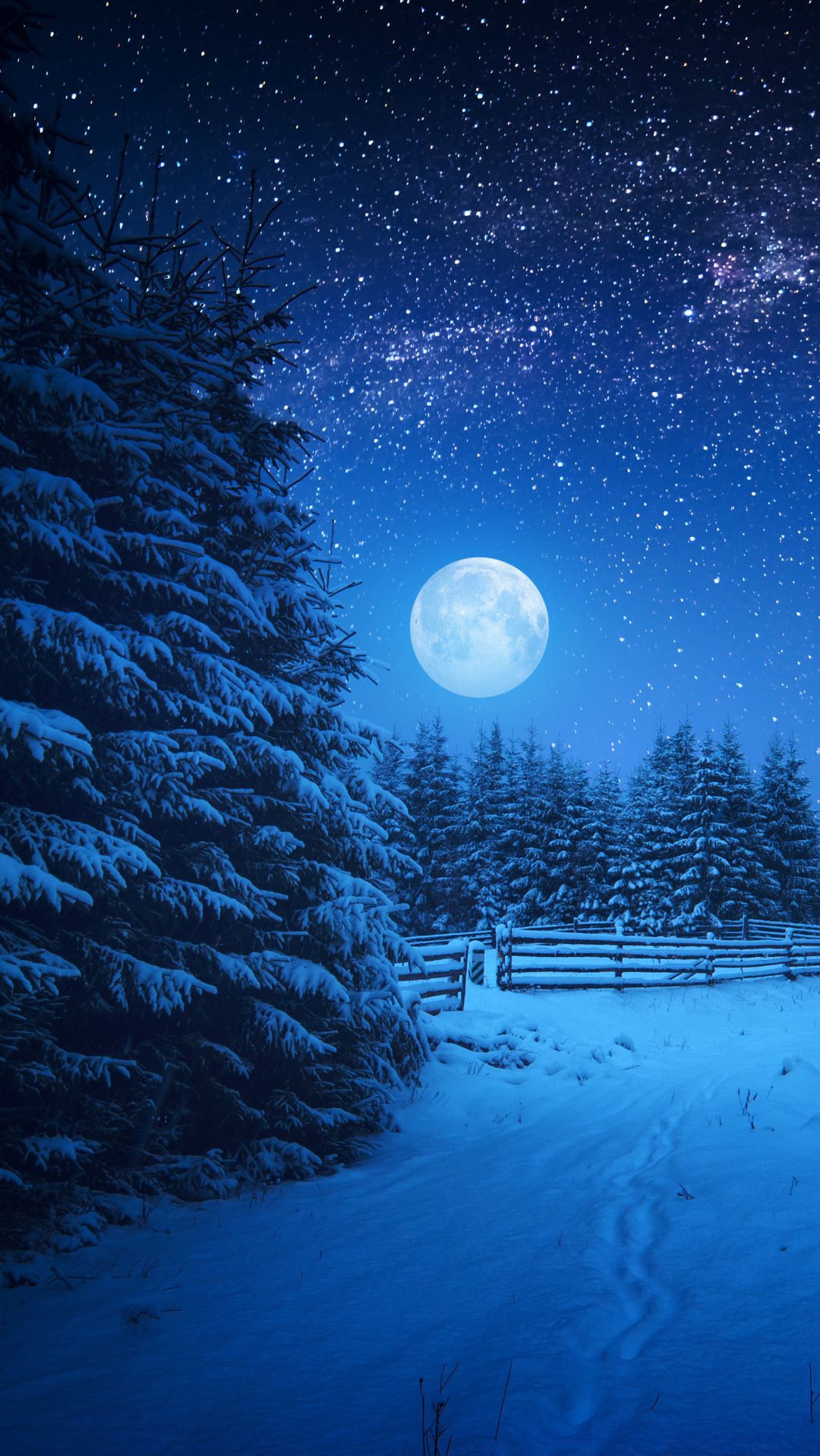 Moon Night in Winter Season Wallpaper