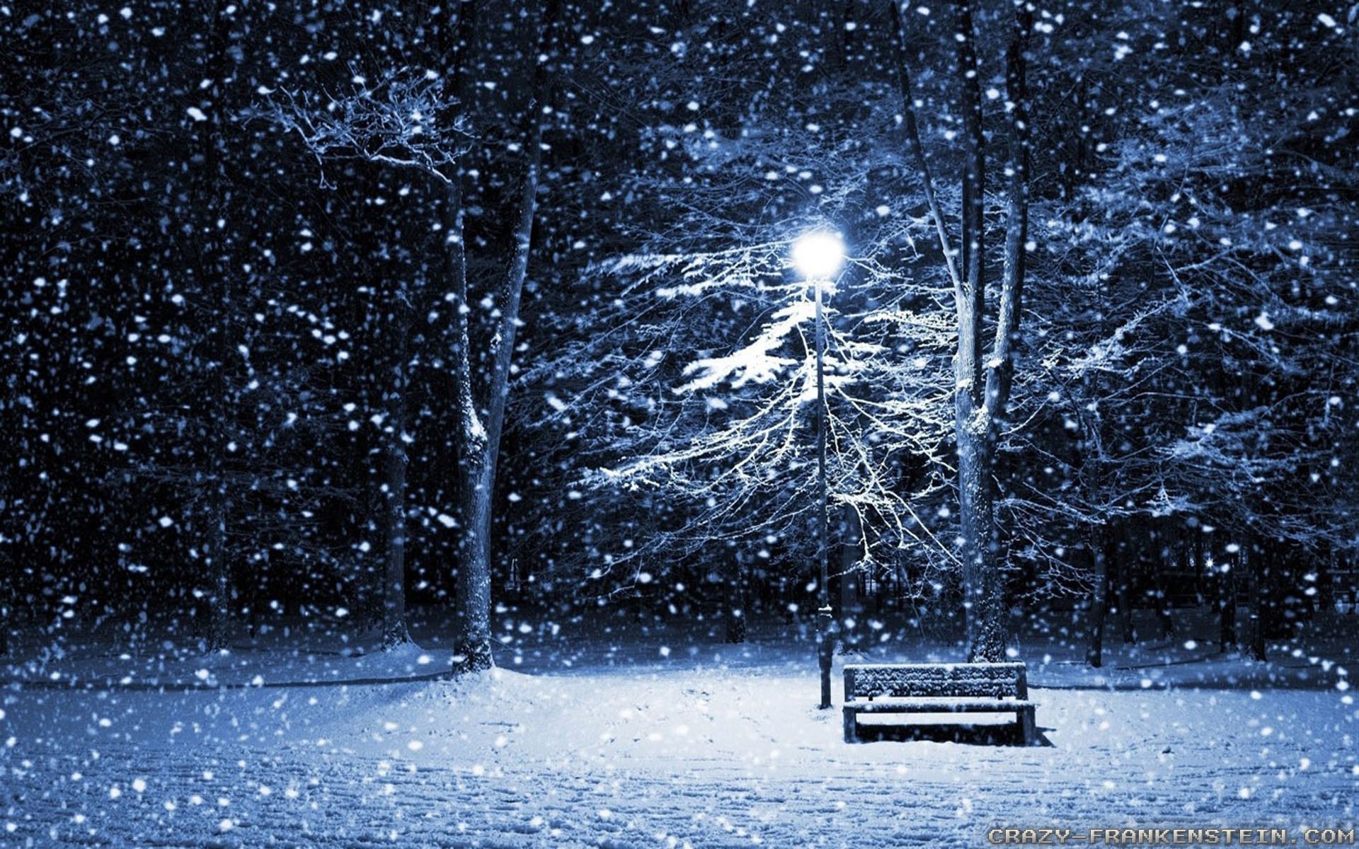 Videos Data Src Download Free Beautiful Winter Wallpaper Season At Night