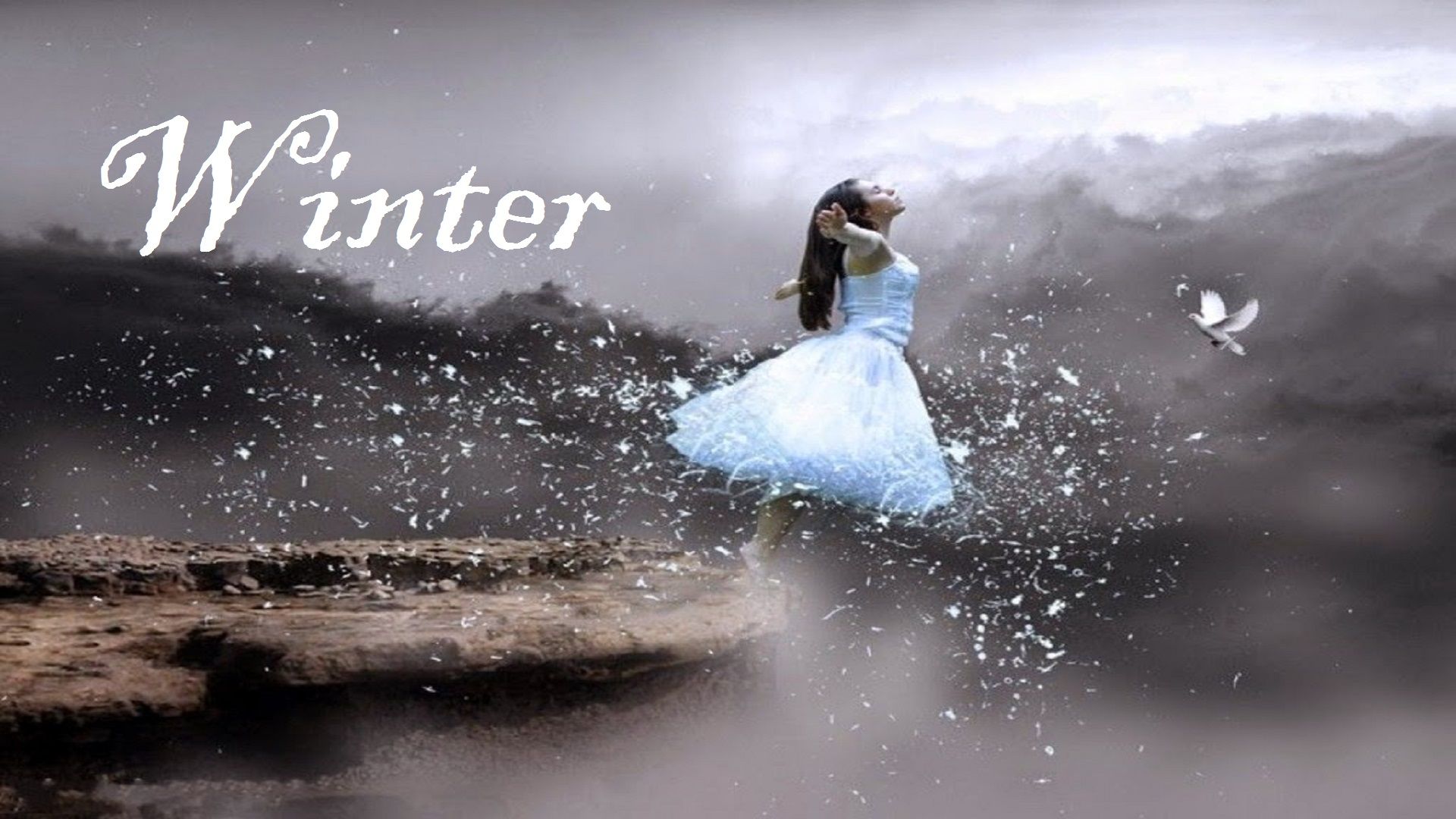 Winter Season Beautiful HD Wallpaper Free