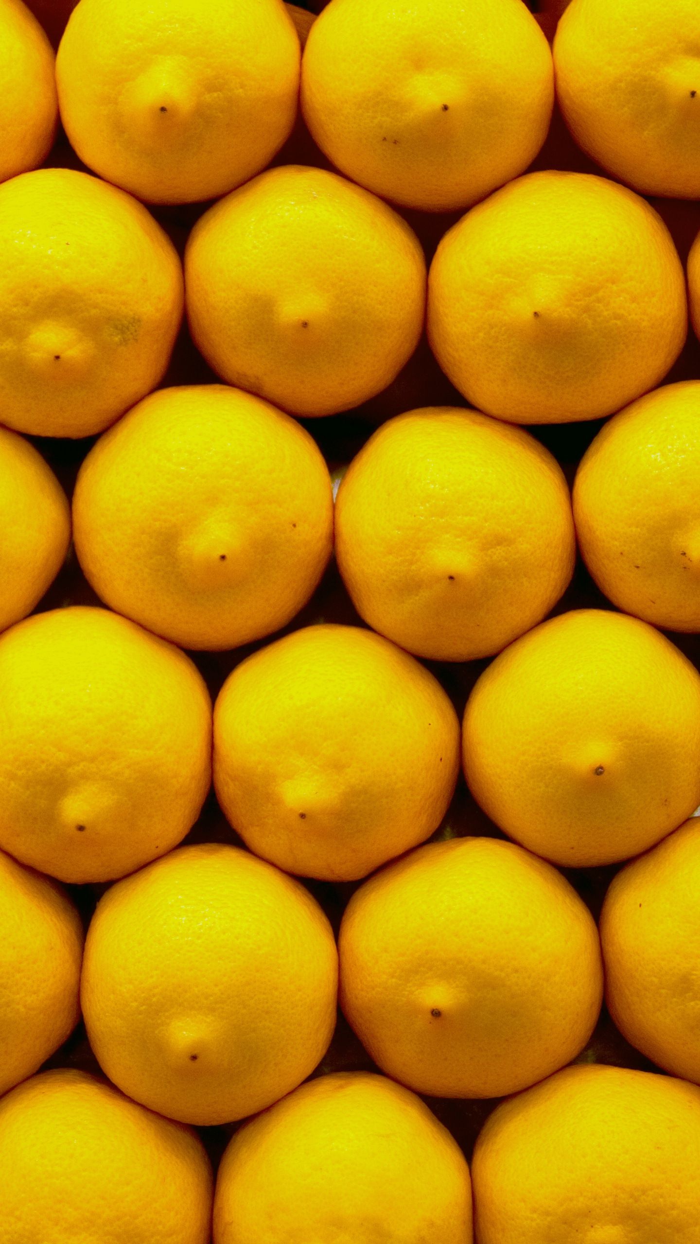 Yellow Lemons Wallpaper Download