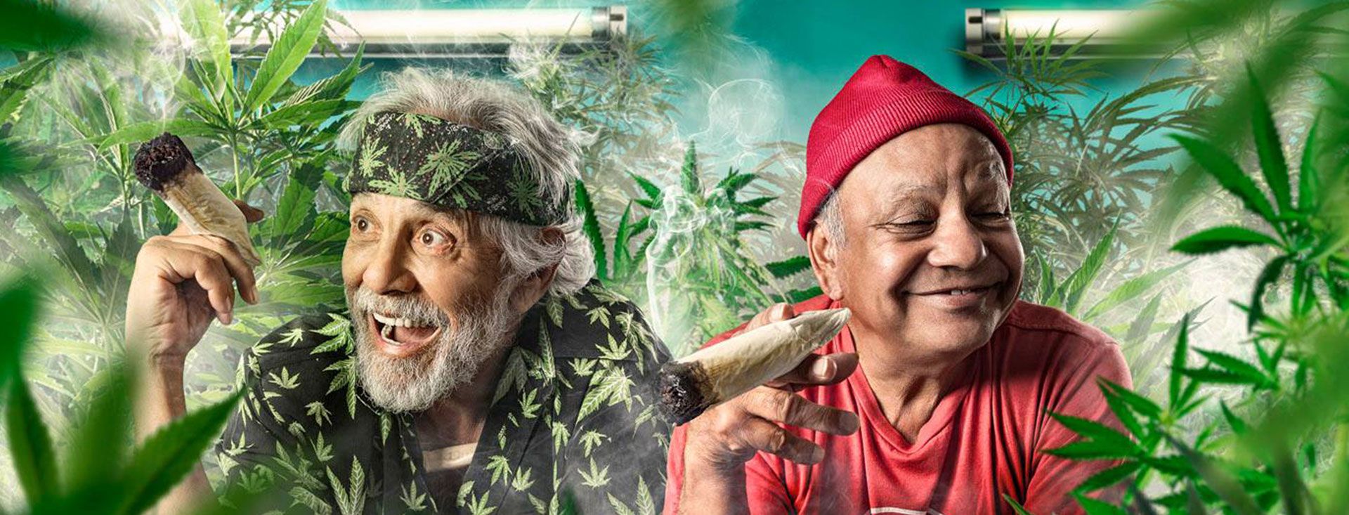 Cheech And Chong wallpaper, Celebrity, HQ Cheech And Chong pictureK Wallpaper 2019