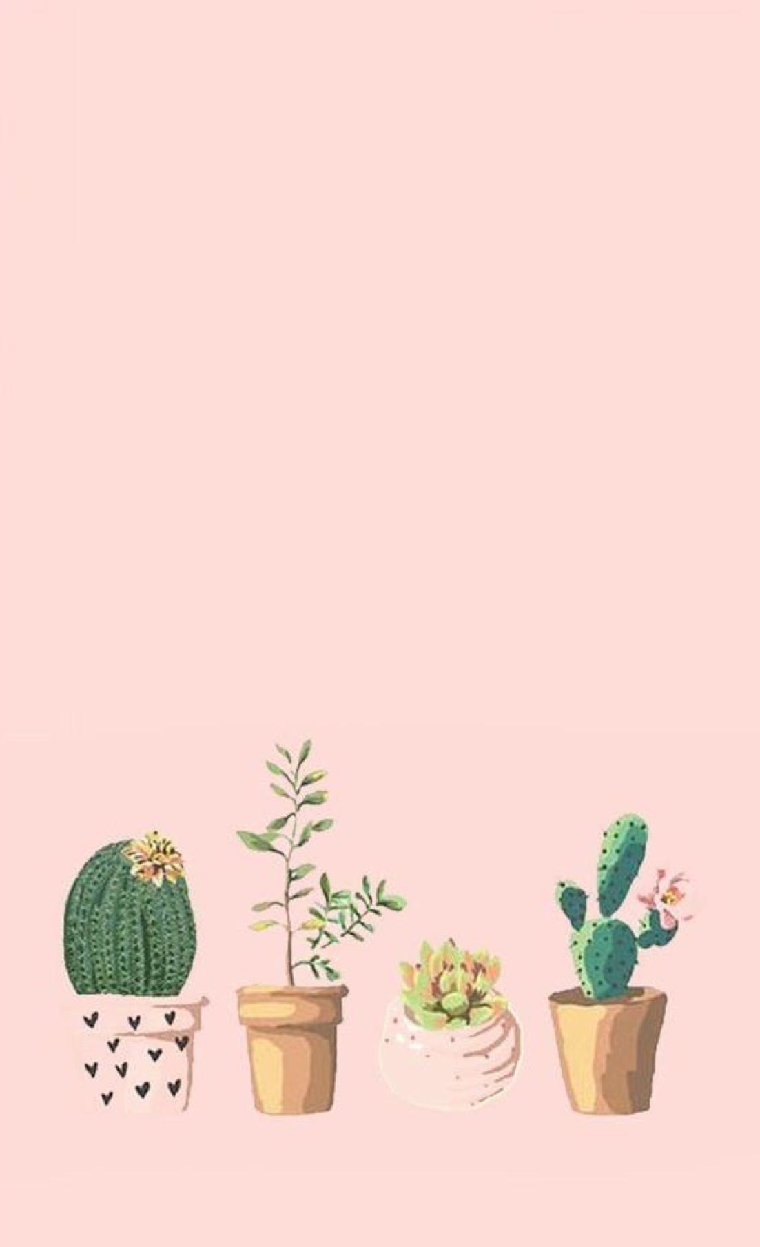 Cactus Phone Wallpaper Free Cactus Phone Background
