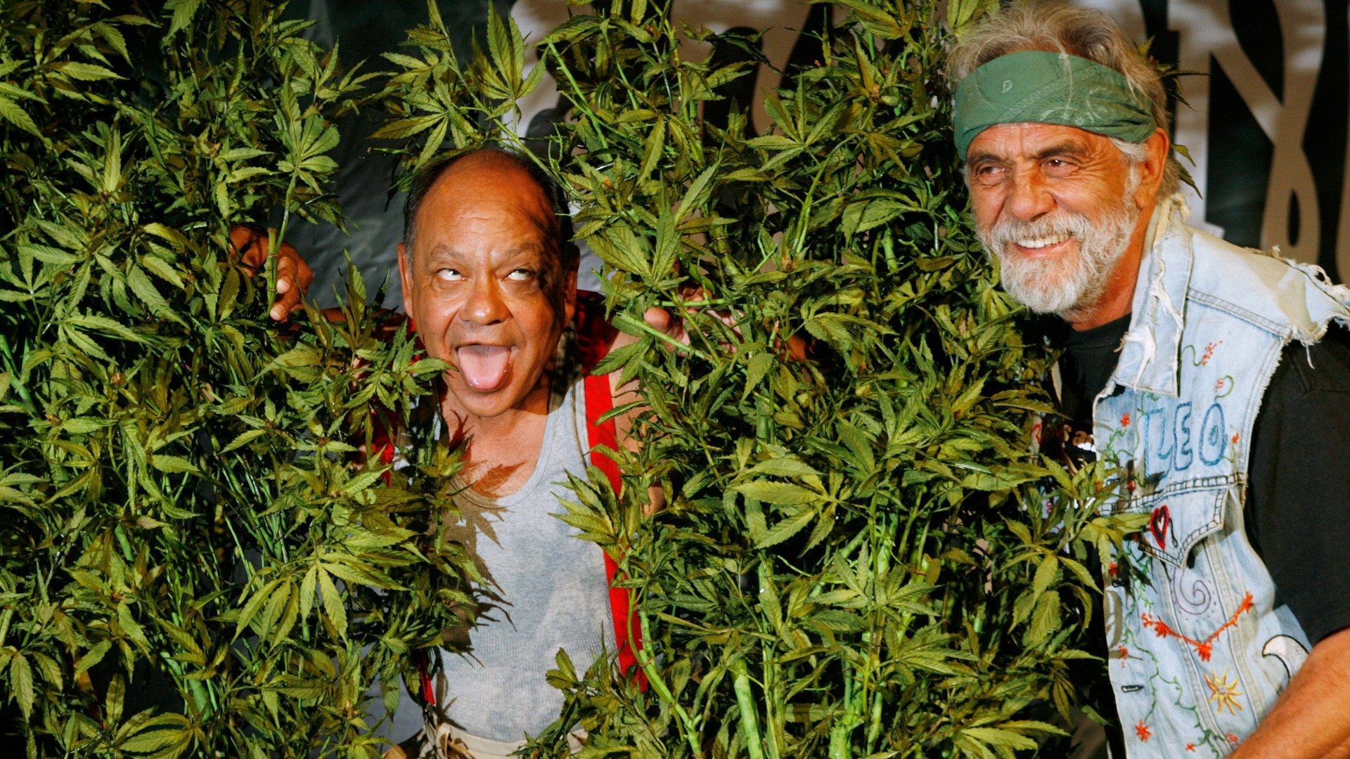 Cheech And Chong Wallpaper