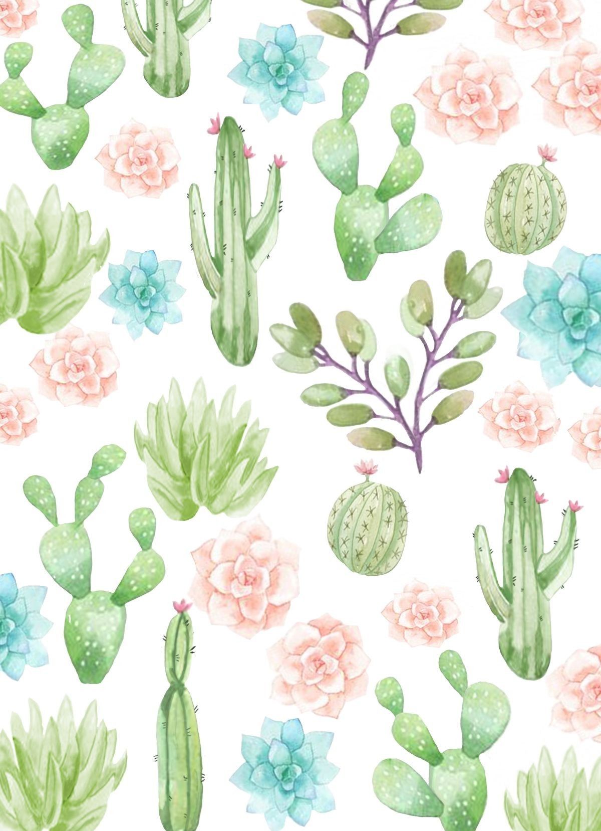Cactus Wallpaper iPhone Cute