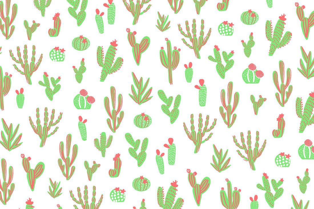 Cactus Cute Wallpaper For Girls Laptop