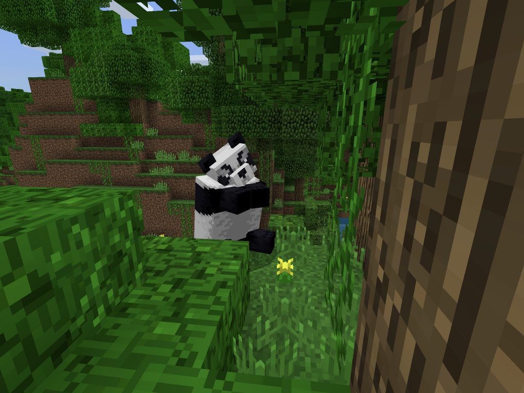 Panda Spotting In PE Bedrock Jungle Seed Seed HQ