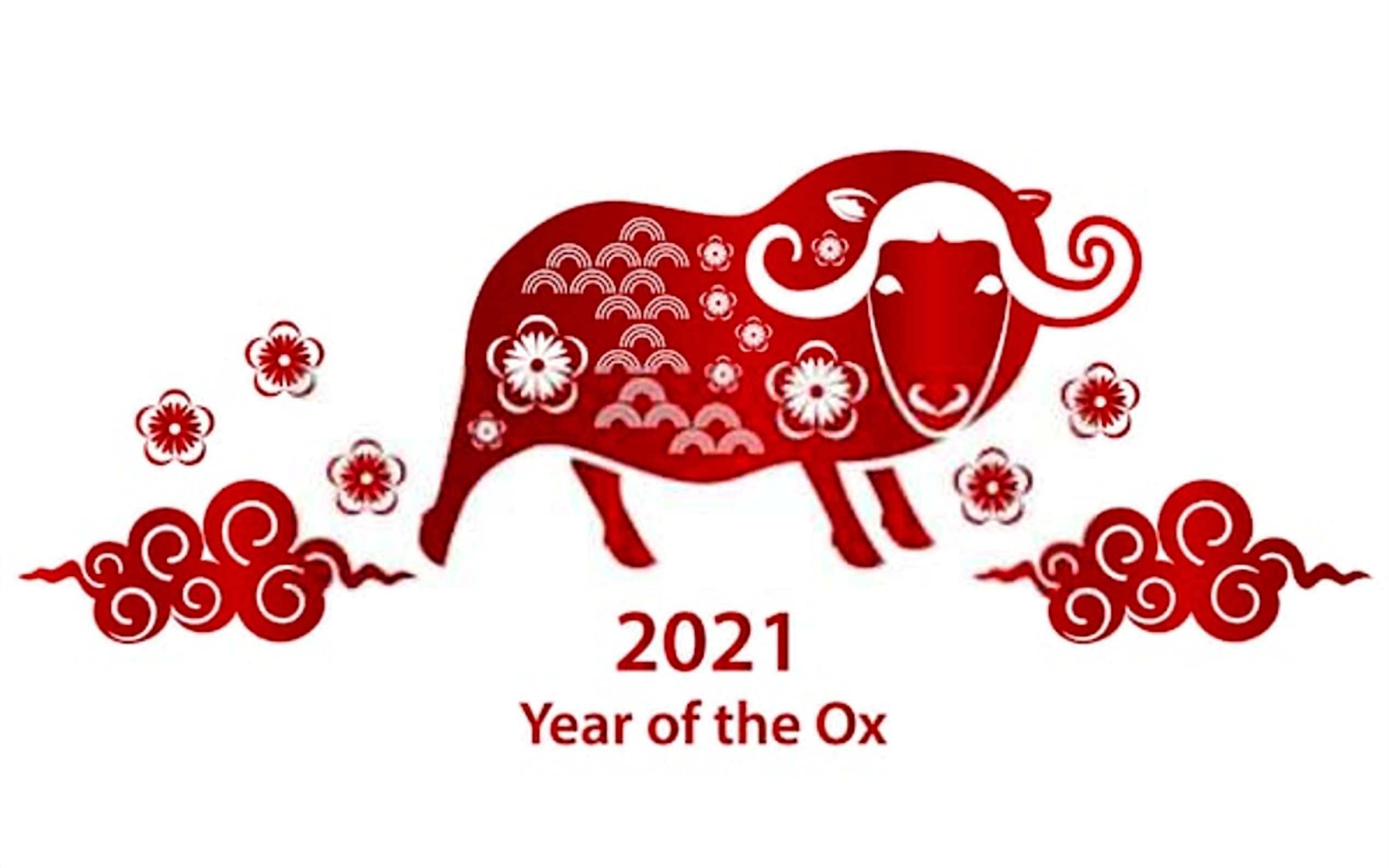 Chinese New Year 2021 Image and Wallpaper. Year of the cow, Christmas flyer , Happy chinese new year