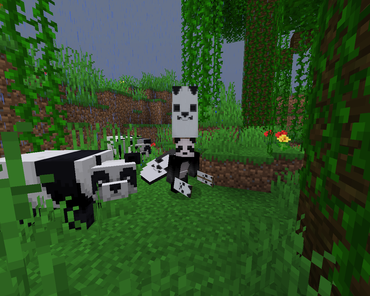So in case, you didn't notice, I really like pandas