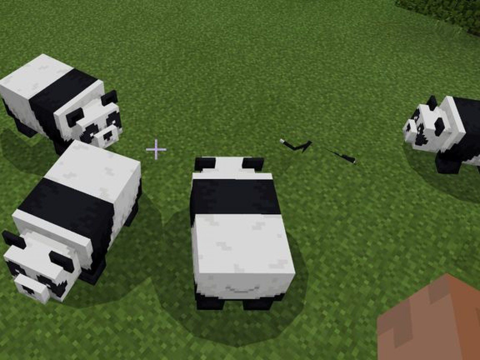 Minecraft' 1.8 Patch Notes: New Achievements, Revamped Cats and Pandas