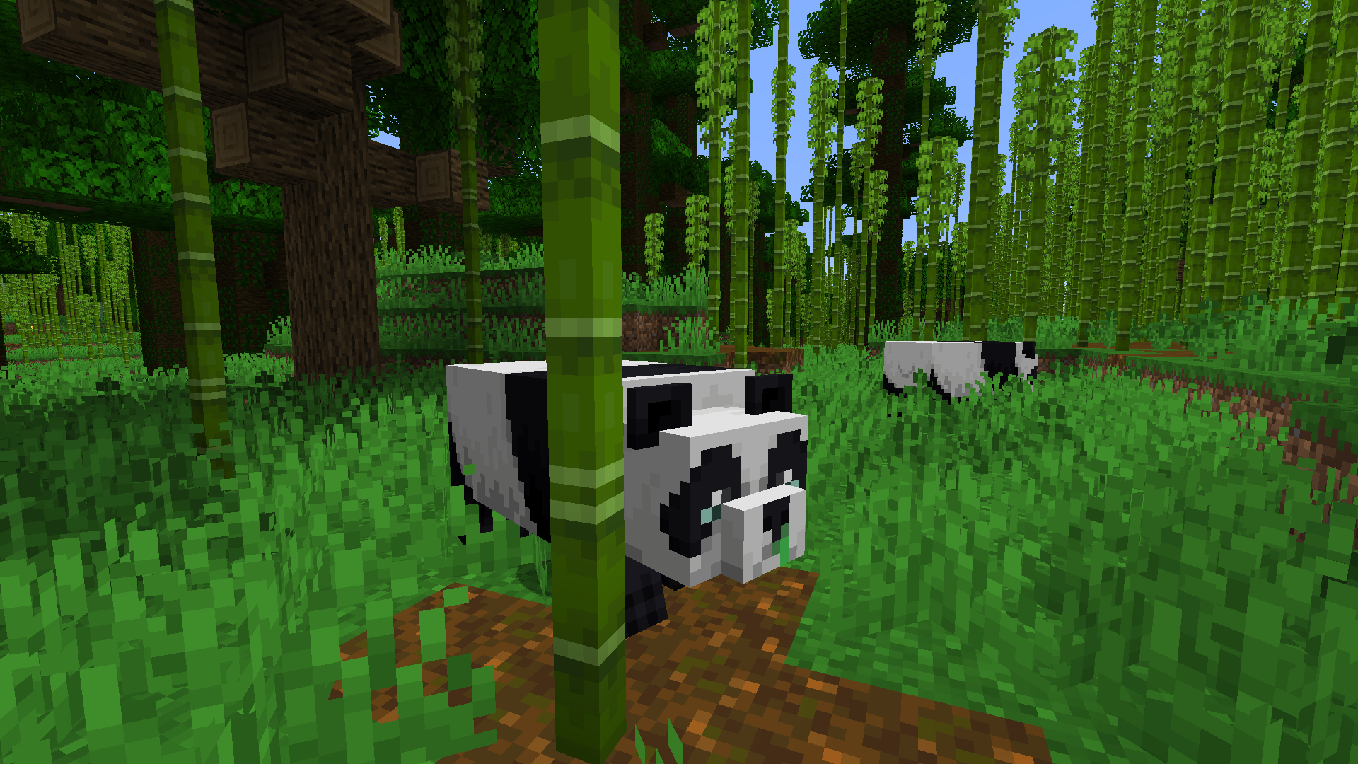 MC 142850 Baby Pandas Never Spawn Naturally