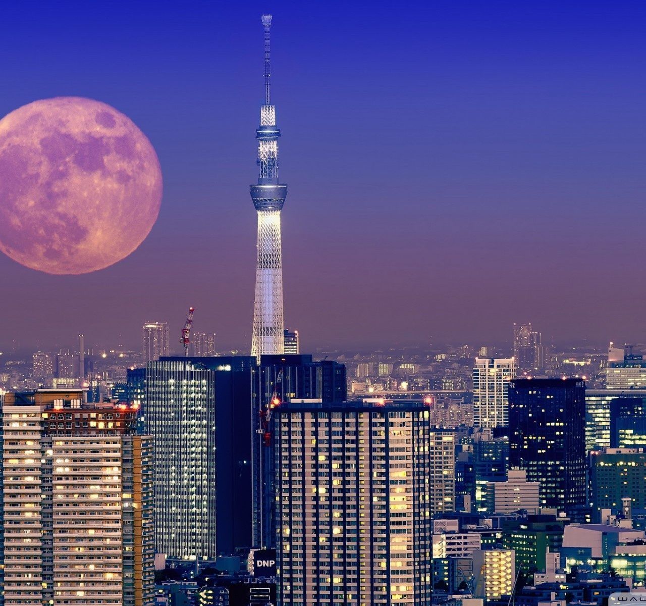 Aesthetic Tokyo Skyline Night