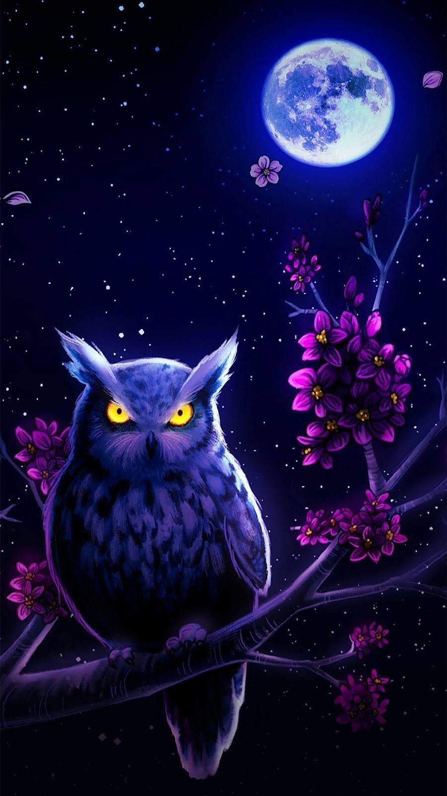 Night owl. Owl wallpaper, Owl wallpaper iphone, Beautiful dark art