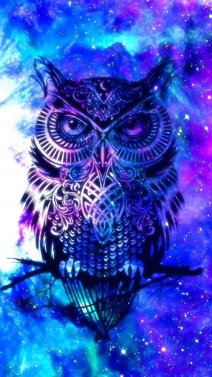 Night Owl Wallpaper for Android