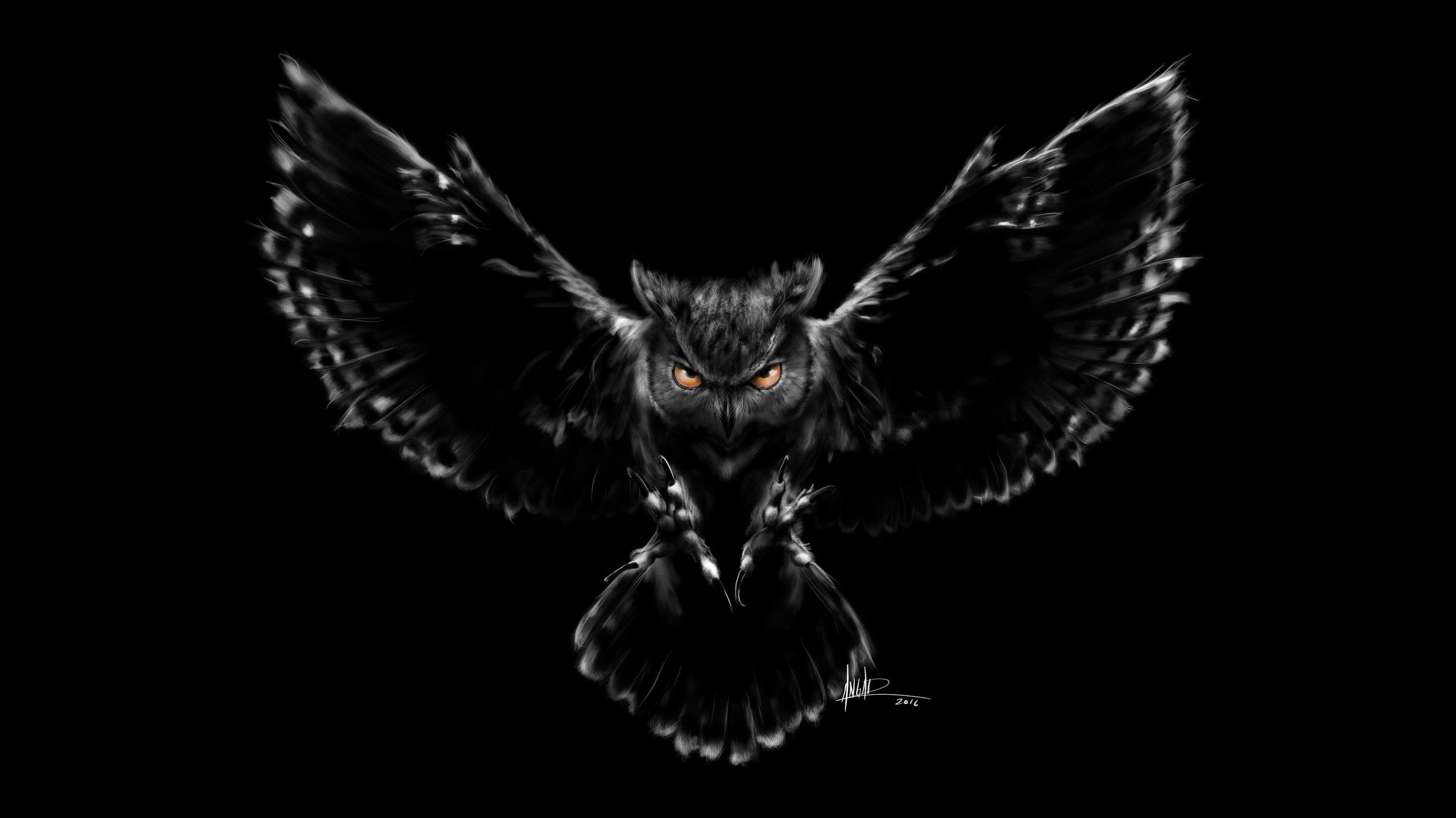 Dark Night Owl Wallpaper