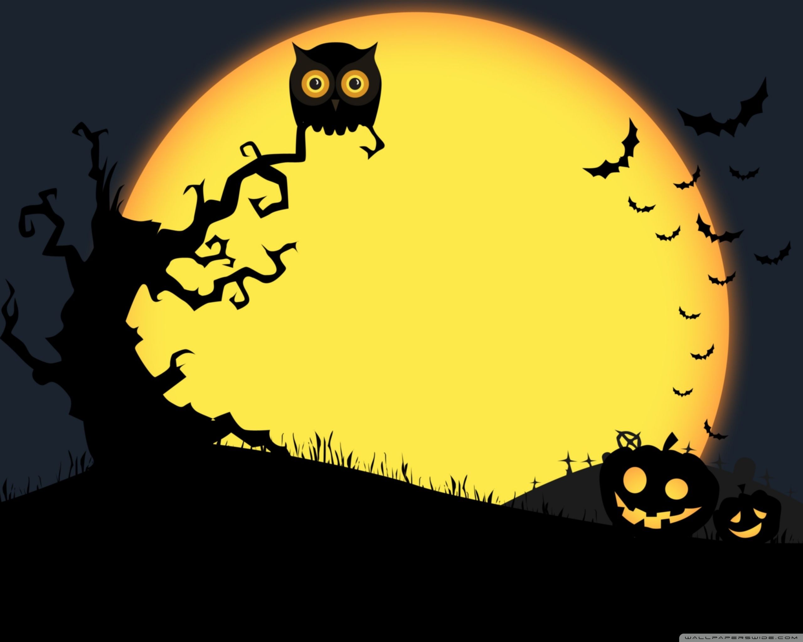Halloween Full Moon Night, Owl, Bats, Jack O Lantern Ultra HD Desktop Background Wallpaper For 4K UHD TV, Widescreen & UltraWide Desktop & Laptop, Tablet