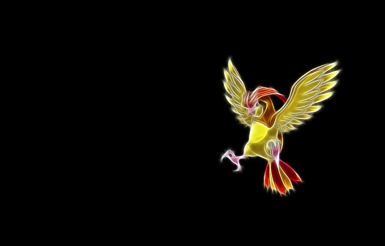 Wallpaper pokemon, pokemon, neon lines, pidgeotto, pidgeotto image for desktop, section прочее