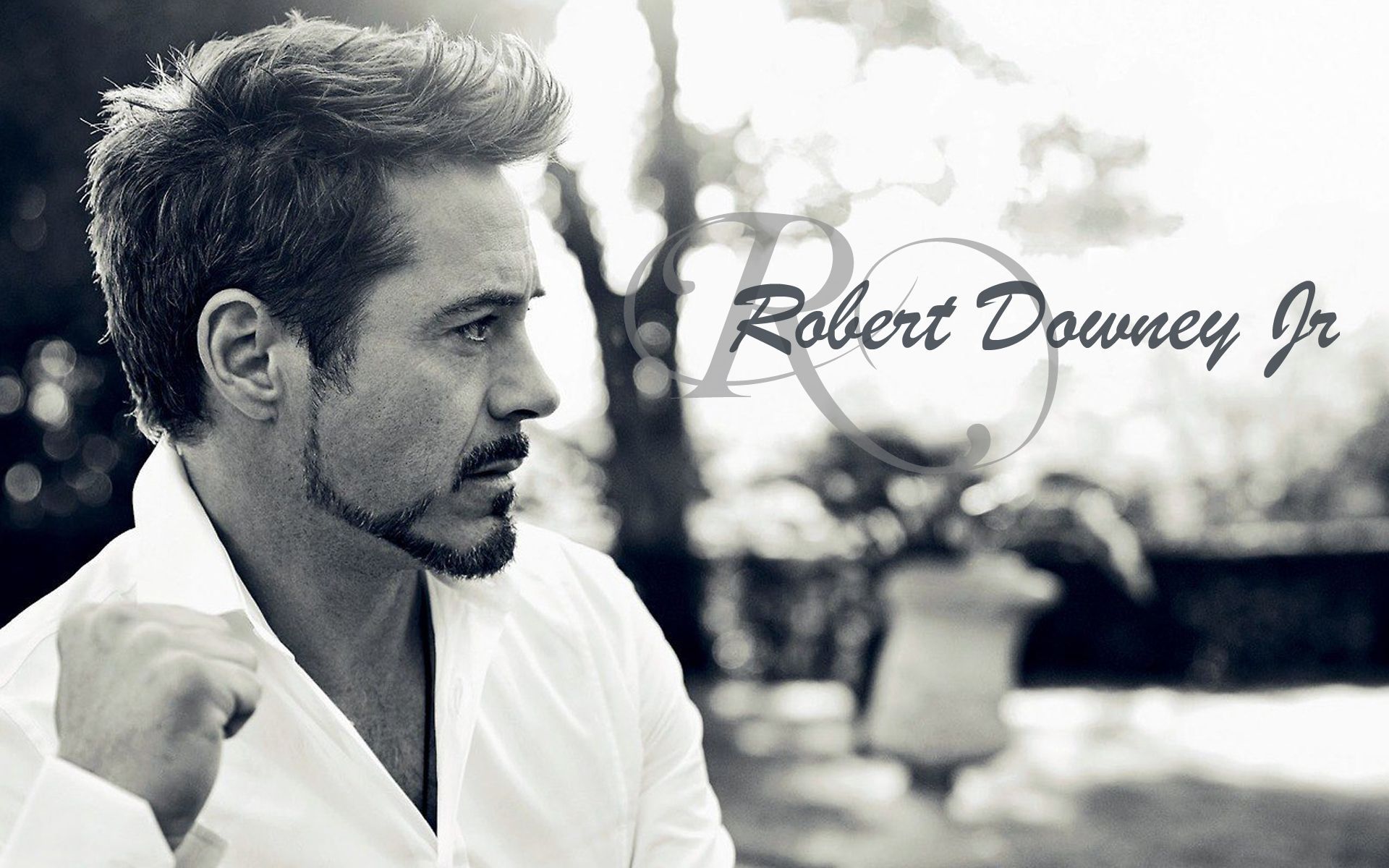 Beautiful Robert Downey Jr HD Wallpaper. High Definition Wallpaper