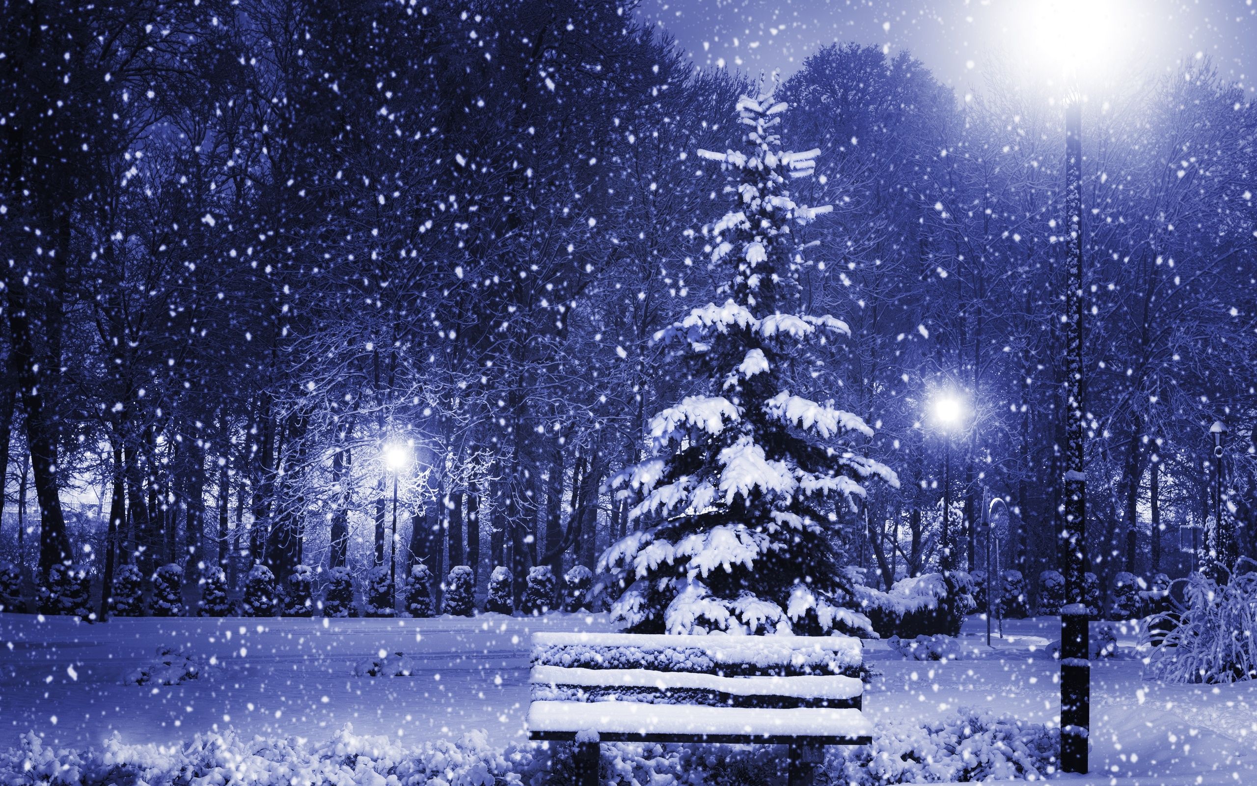 New year christmas tree winter snow snowflake flakes wallpaperx1600