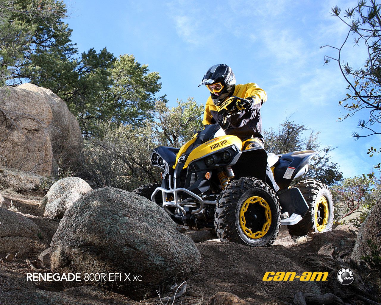 Can Am Renegade 800 Wallpaper & Background Download