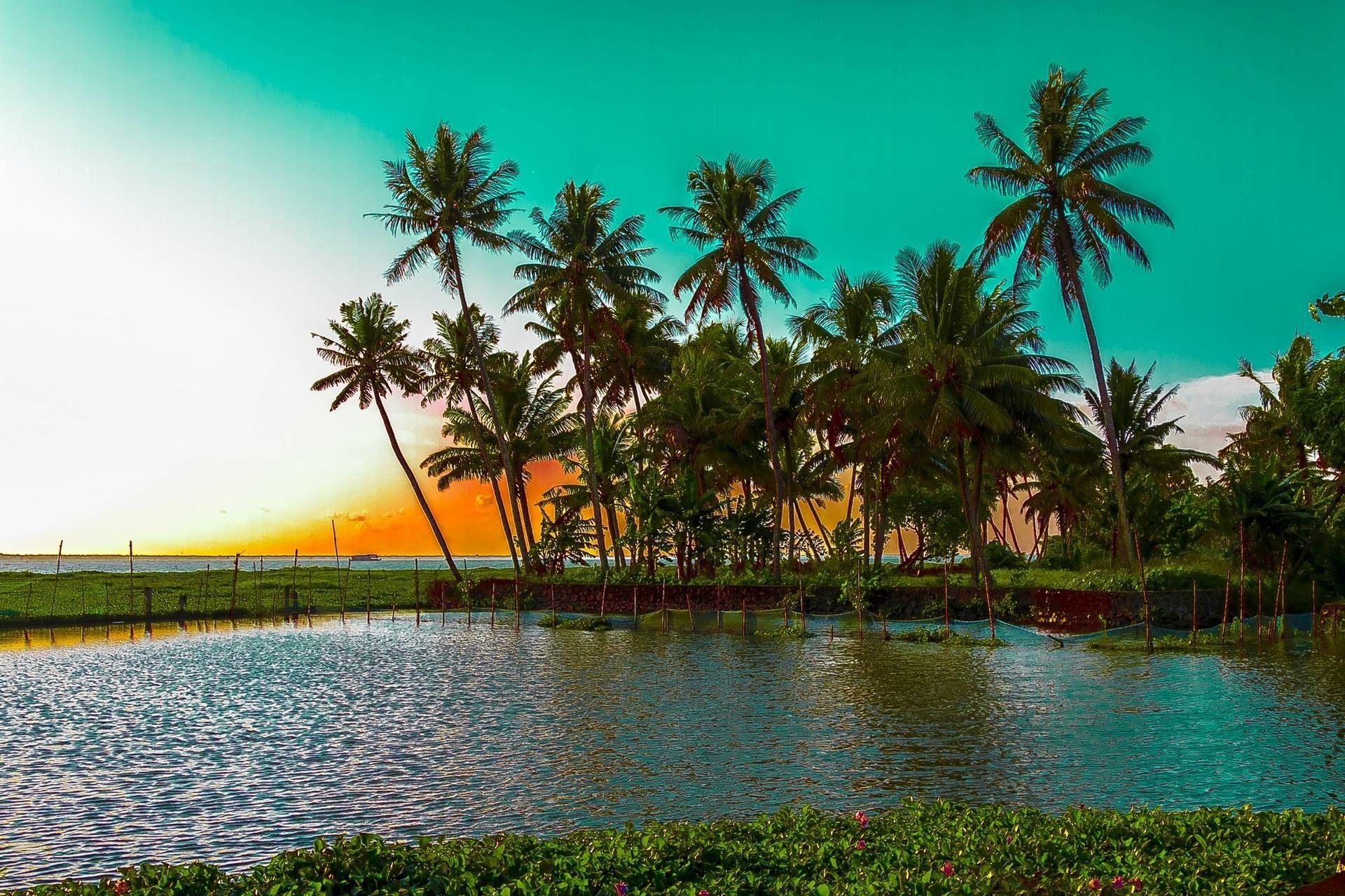 Download Wallpaper Kumarakom Lake, Kerala, India, Kumarakom Own Country Kerala