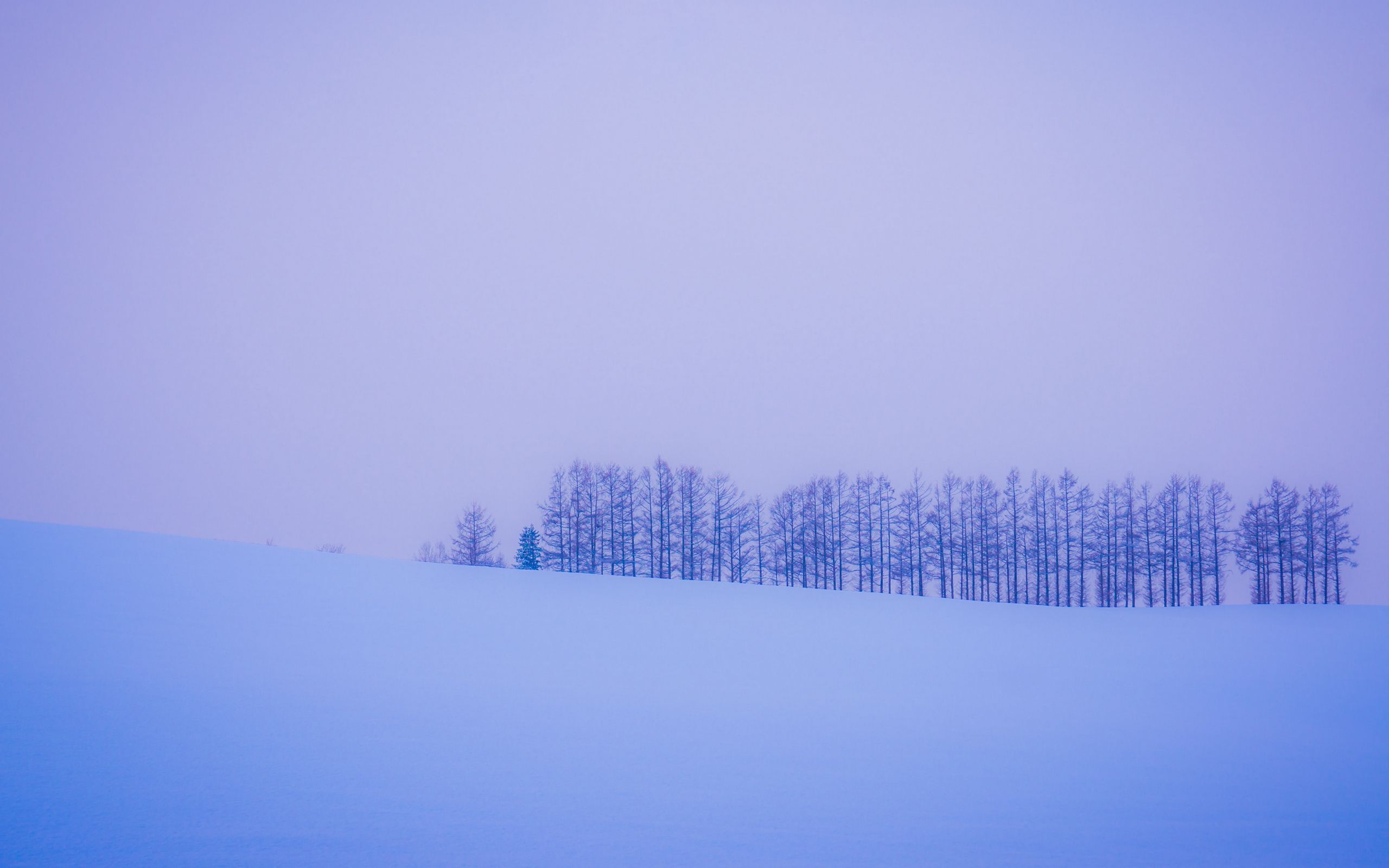 Download wallpaper 2560x1600 trees, snow, winter, minimalism, horizon widescreen 16:10 HD background