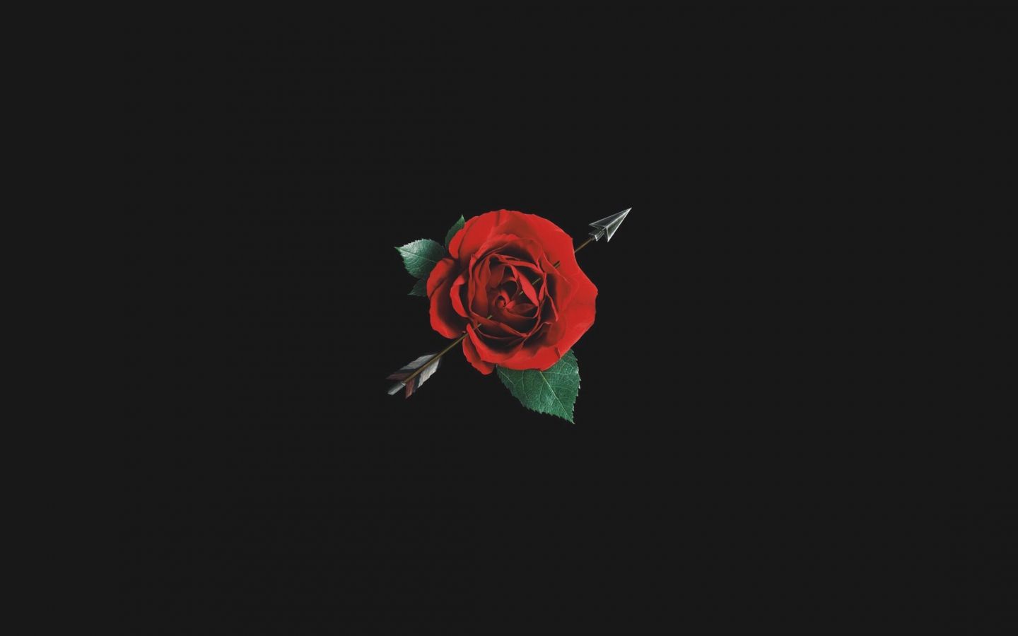 Free download Aesthetic Red Rose With Black Background [2200x3300] for your Desktop, Mobile & Tablet. Explore Red Roses Aesthetic Wallpaper. Red Roses Aesthetic Wallpaper, Red Aesthetic Wallpaper, Wallpaper Red Roses