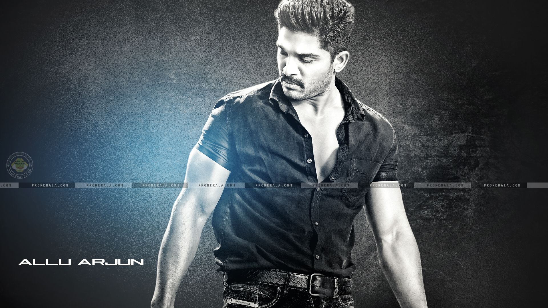 Bollywood Celebrity Plete Quotes Arjun From Sarrainodu HD HD Wallpaper