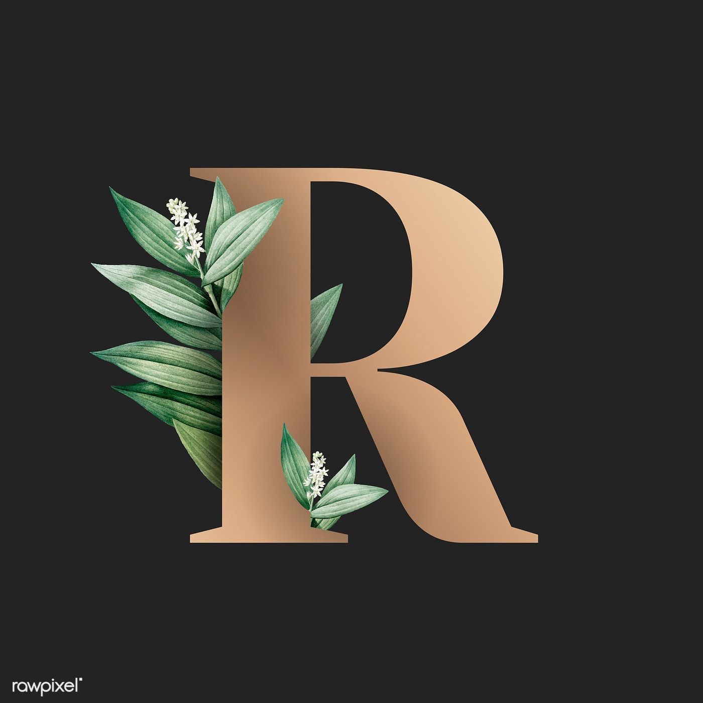 Botanical capital letter R vector. premium image / Aum / Donlaya / Kappy Kappy / manotang. Lukisan huruf, Abstrak, Poster bunga
