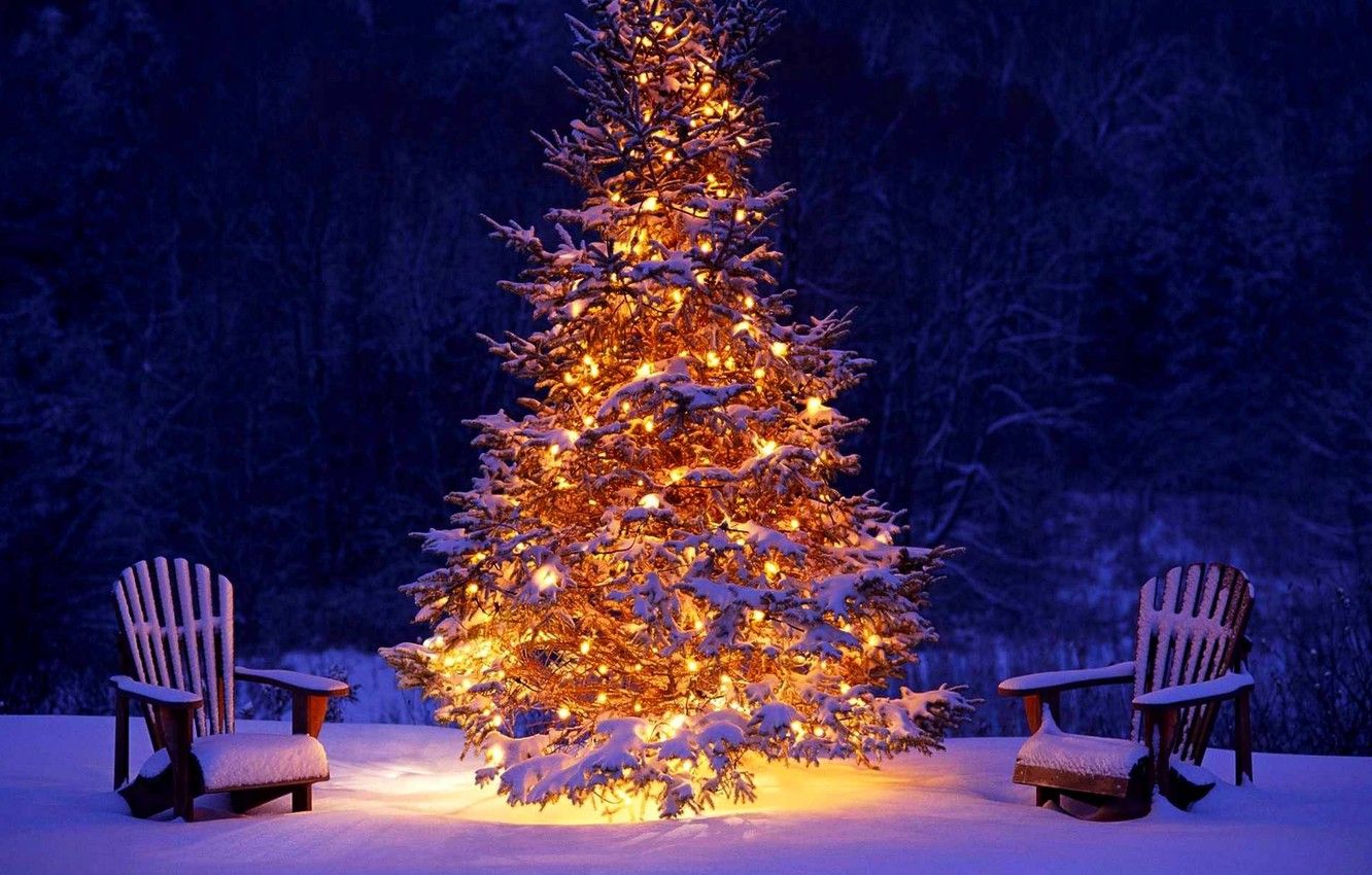 Wallpaper winter, forest, snow, lights, lights, holiday, tree, Christmas, New year, forest, Christmas, winter, snow, happy new year, holiday, Christmas tree image for desktop, section новый год
