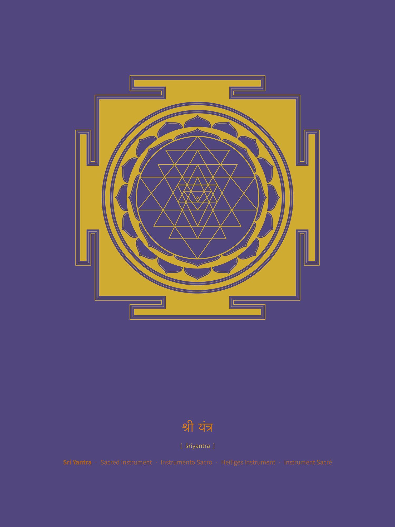 Attract The Energy Of Wealth!