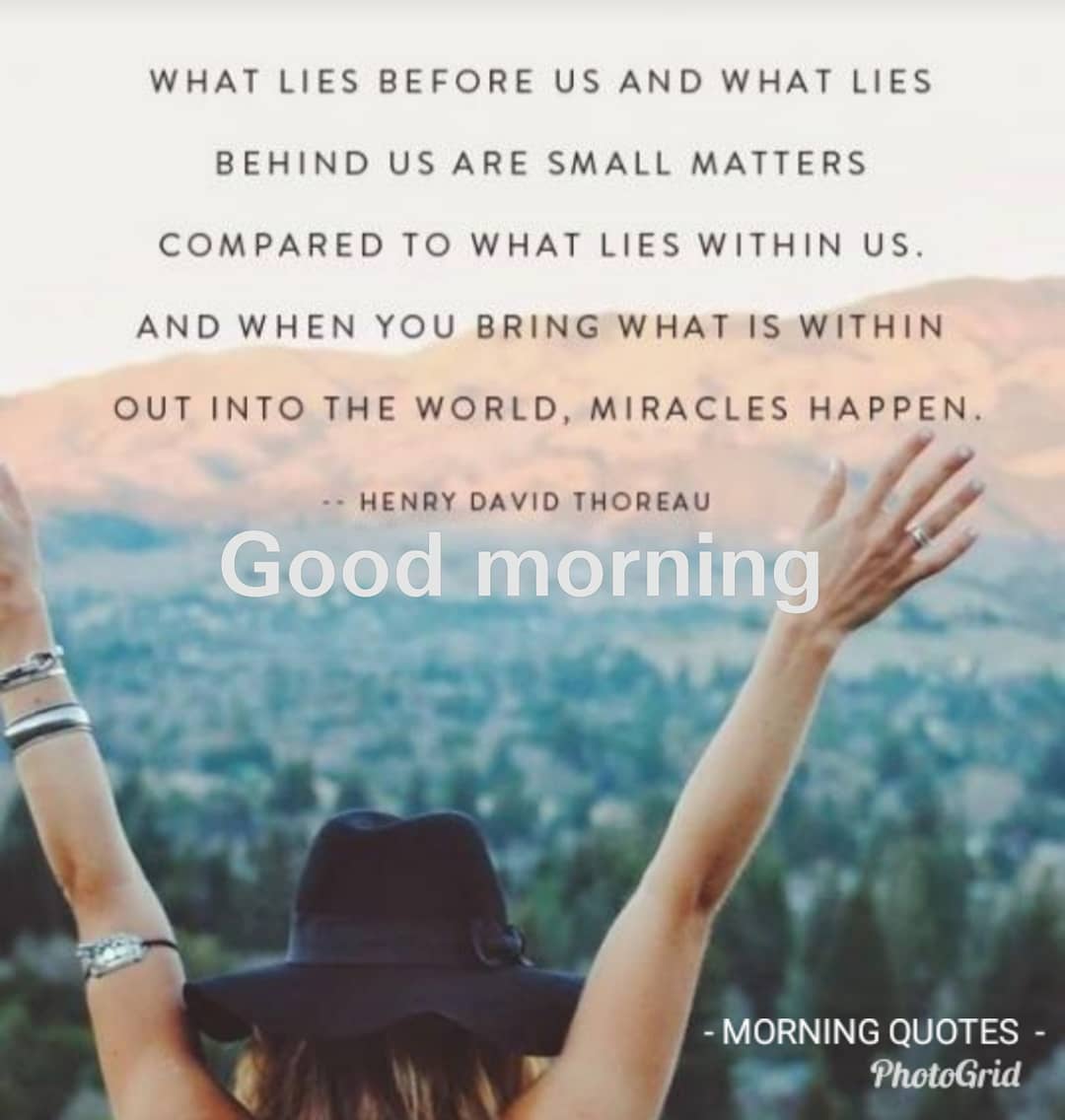 morning vibes quotes Wallpaper