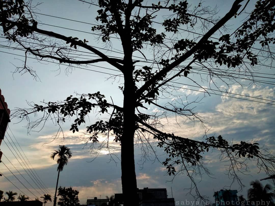 Fresh morning vibes. ., Featured #mobilephotography Fresh morning vibes. .. Nature photography, Morning sky, Morning view