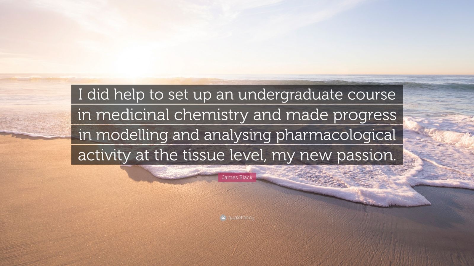 James Black Quote: “I did help to set up an undergraduate course in medicinal chemistry and made progress in modelling and analysing pharmac.” (7 wallpaper)