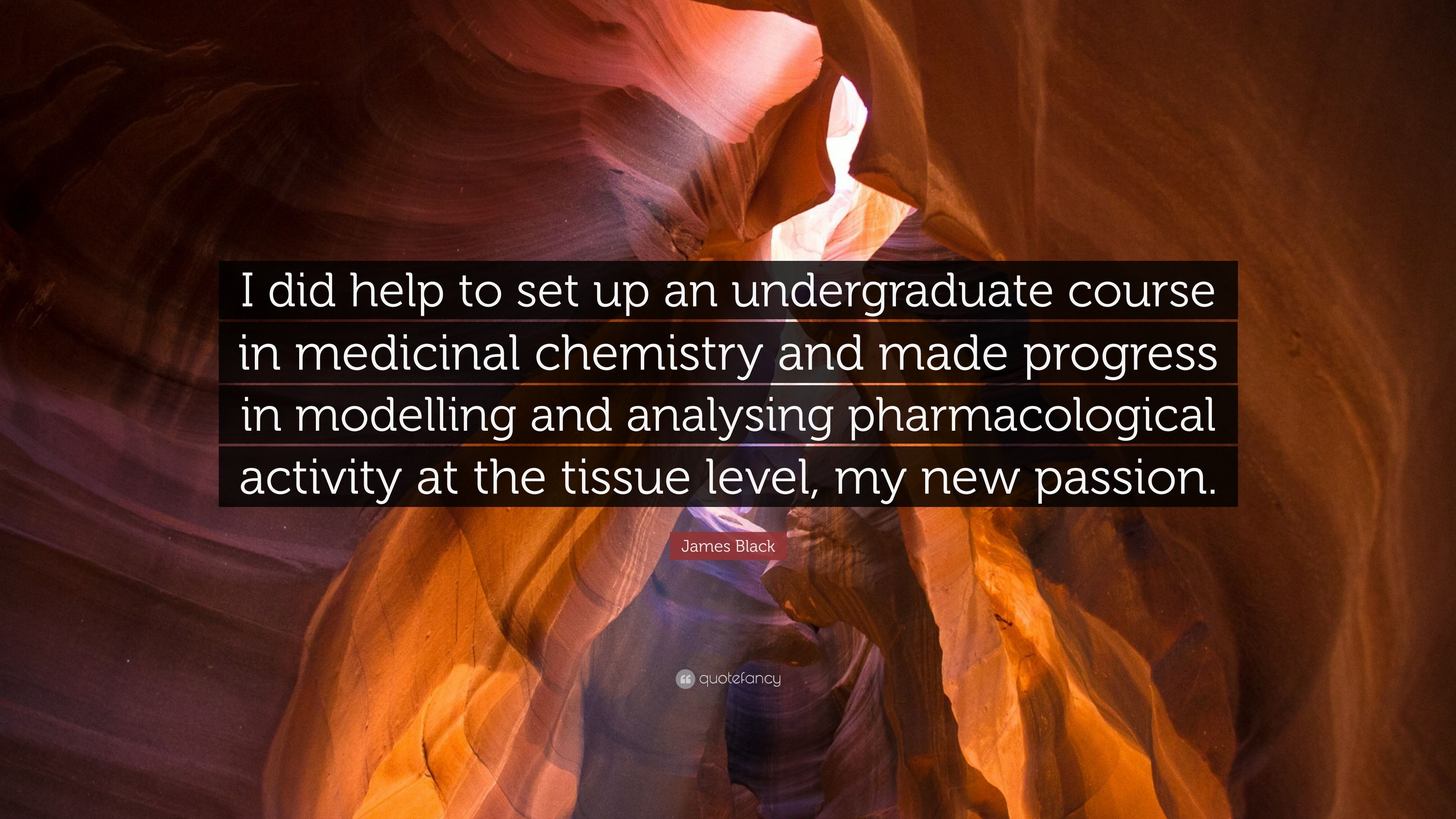 James Black Quote: “I did help to set up an undergraduate course in medicinal chemistry and made progress in modelling and analysing pharmac.” (7 wallpaper)