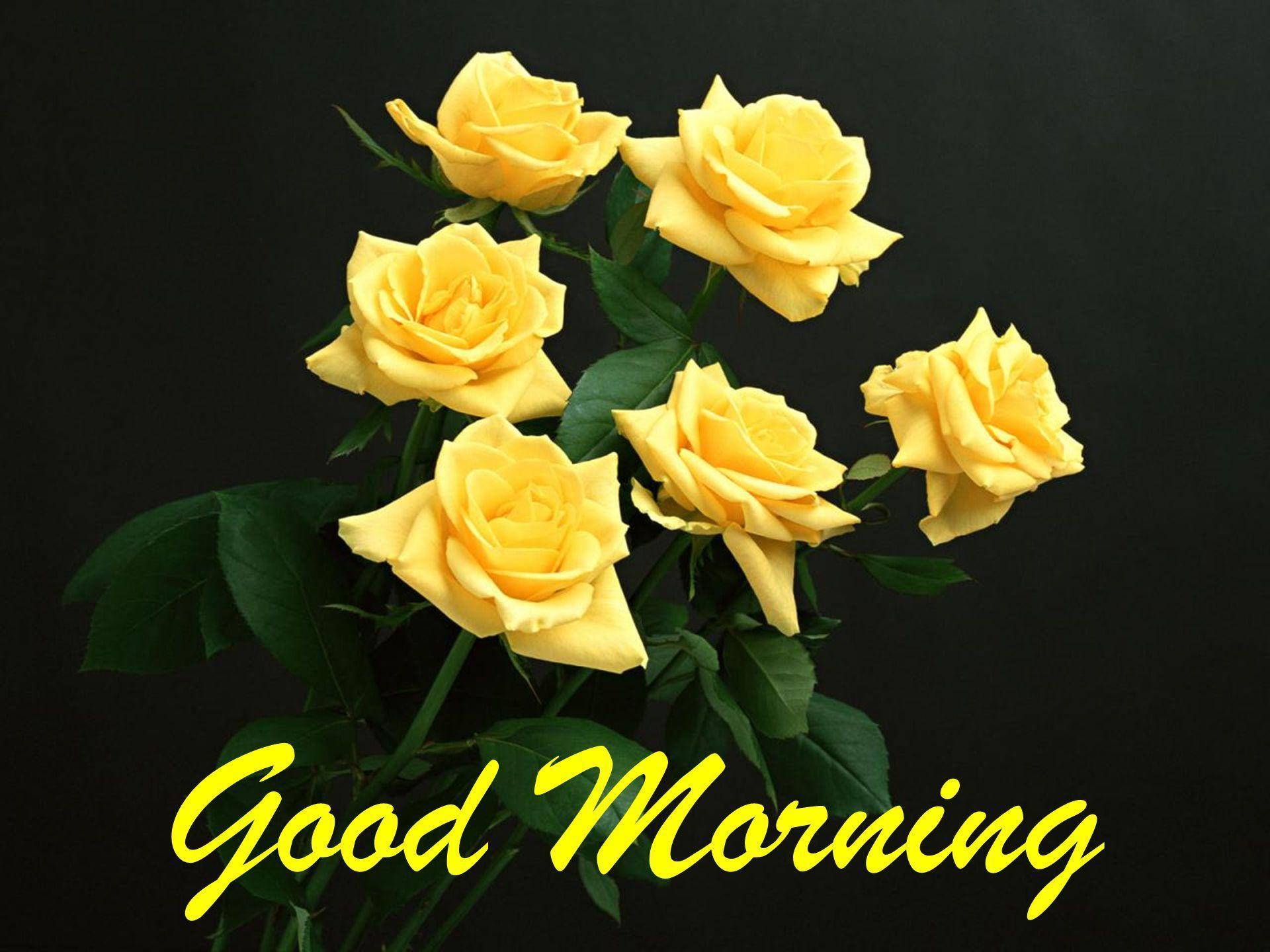 Good Morning Flowers Wallpapers - Wallpaper Cave