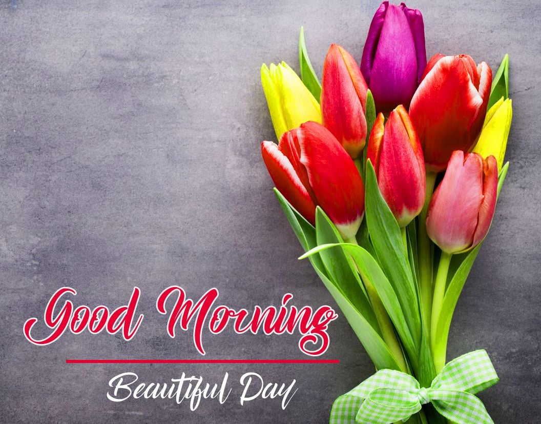 Good Morning Flowers Wallpapers - Wallpaper Cave
