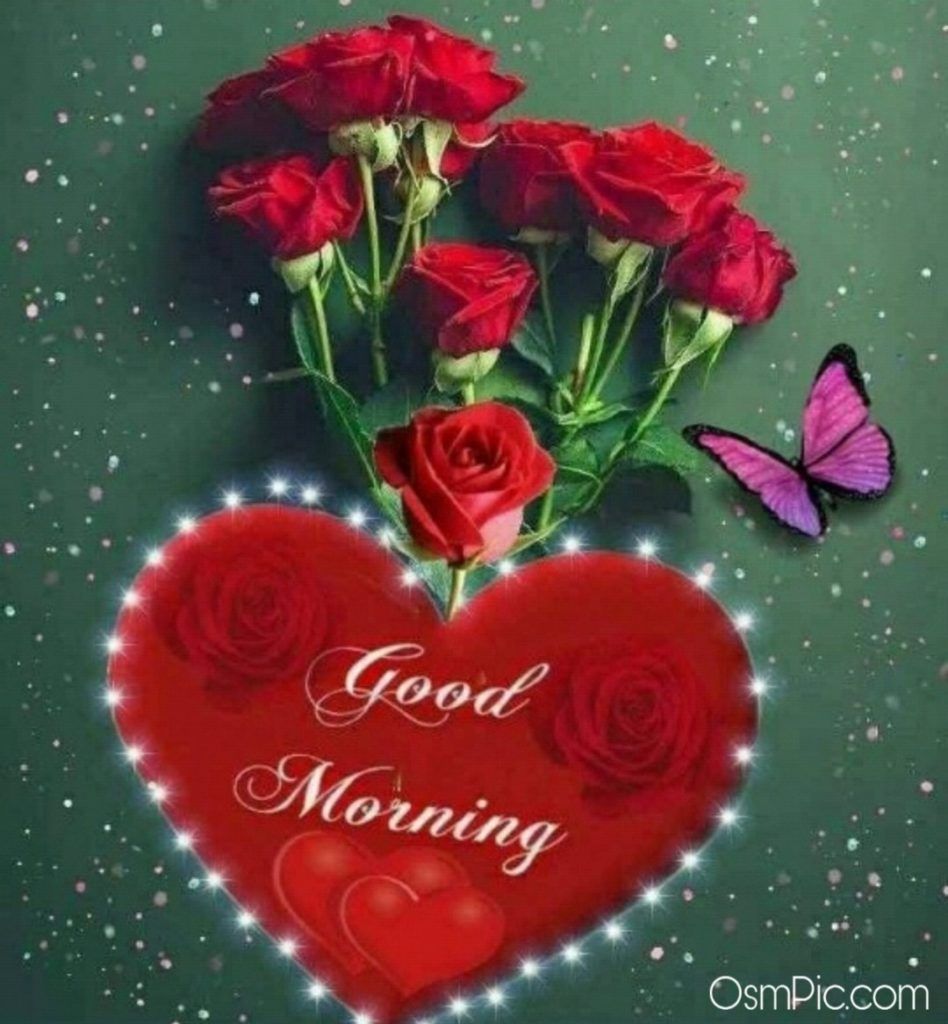 Good Morning Rose Flowers Image Picture With Romantic, Red Roses. Good morning roses, Good morning flowers rose, Good morning flowers