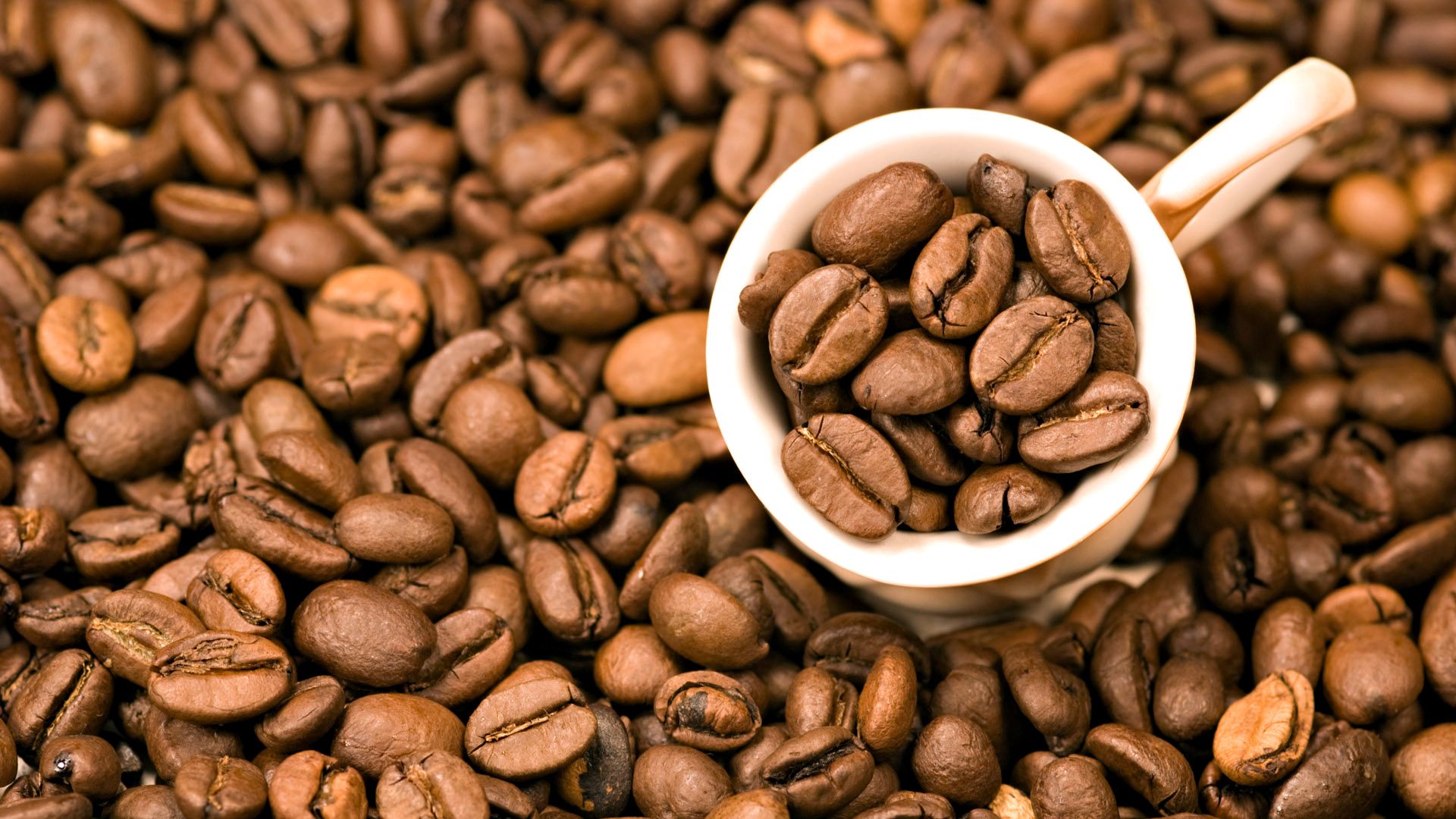 Barista & Coffee Experience Program Bean Wallpaper HD Wallpaper & Background Download
