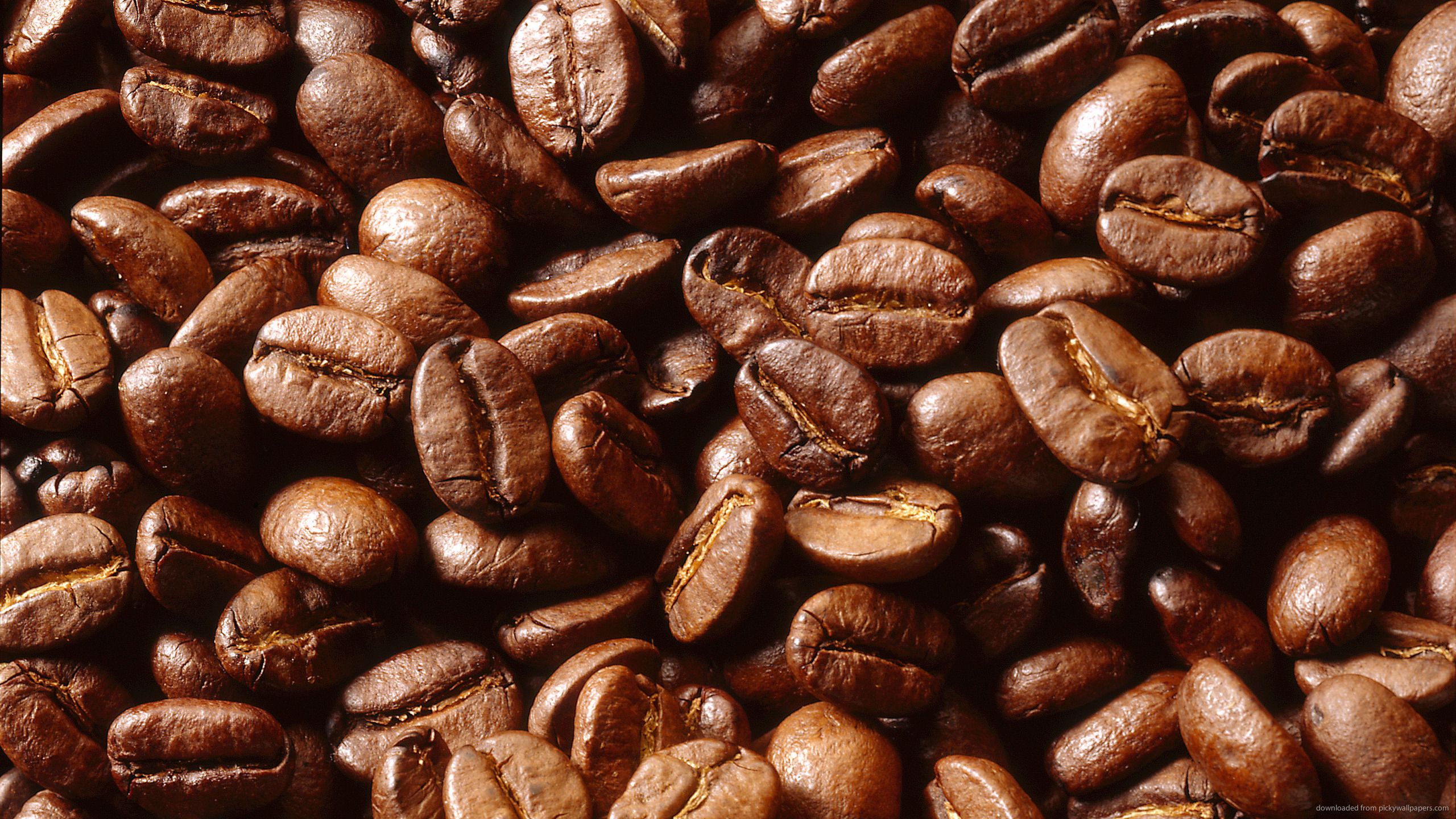 Free download Pin Coffee Beans Wallpaper High Quality And Resolution Bean Art on [2560x1440] for your Desktop, Mobile & Tablet. Explore Coffee Bean Wallpaper. Coffee Cup Wallpaper, Coffee Background