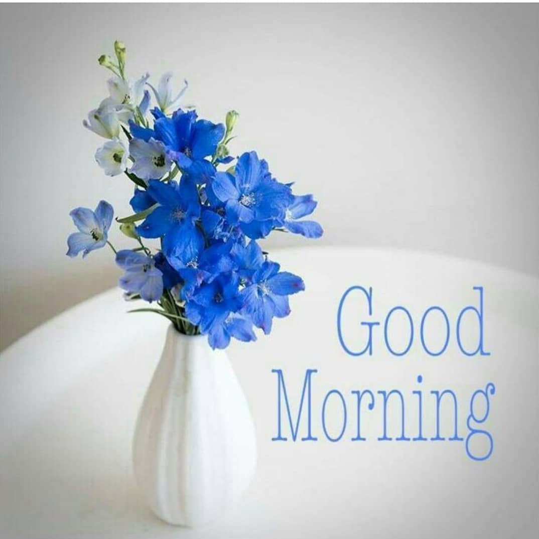 good morning quotes flowers hd