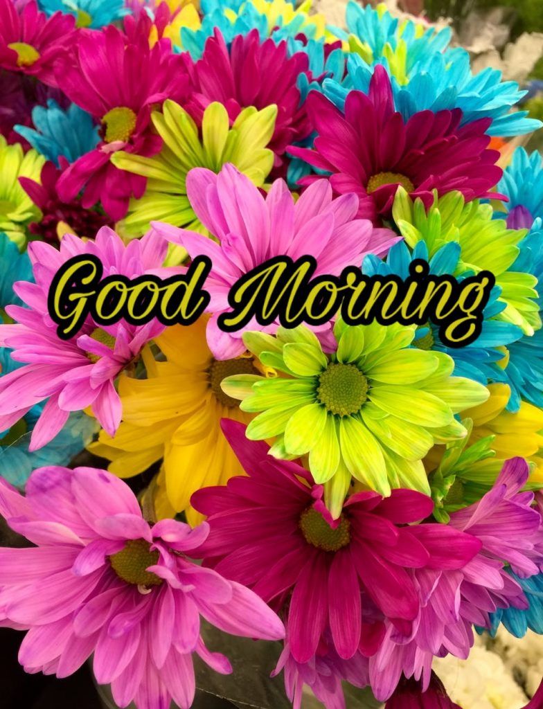 Good Morning Image With Flowers HD Good Morning Flowers HD Wallpaper