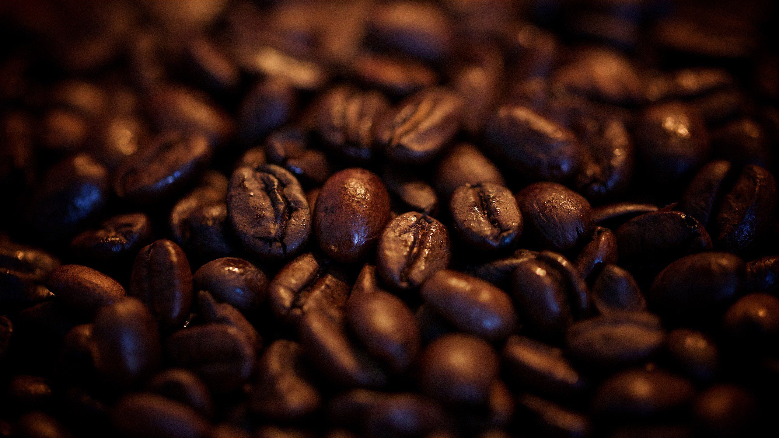 coffee beans Wallpaper HD / Desktop and Mobile Background